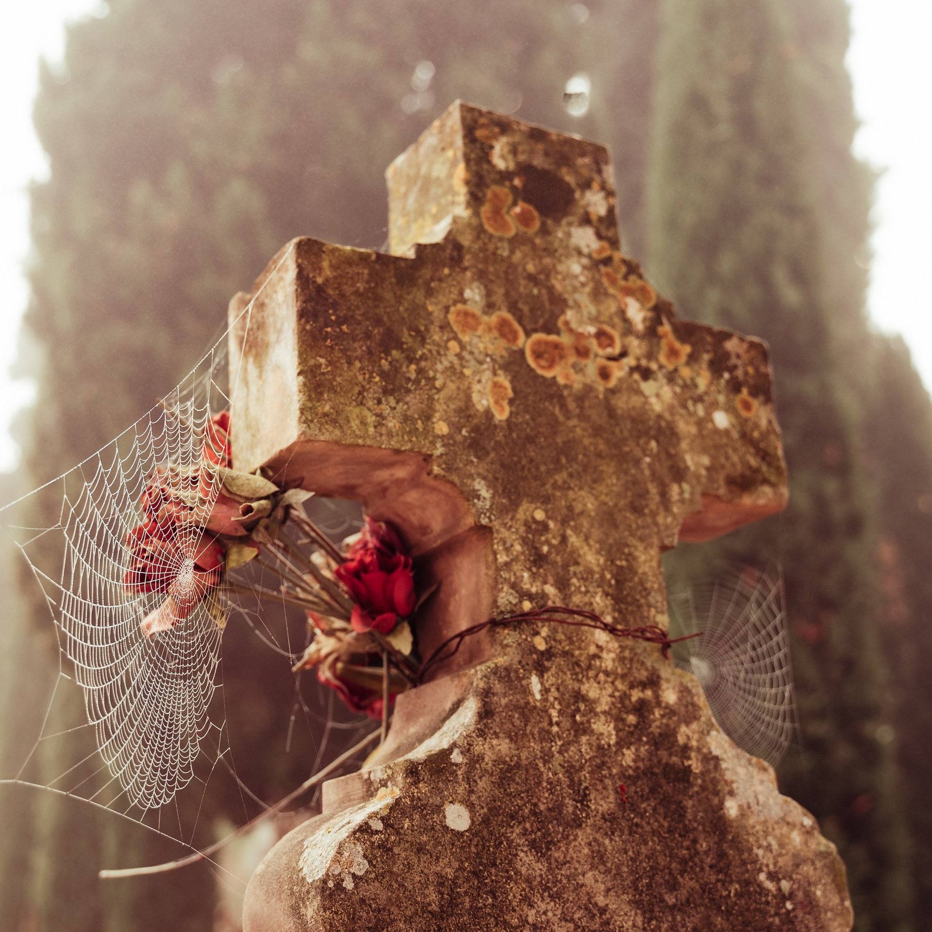 photo cimetière pour expo in situ