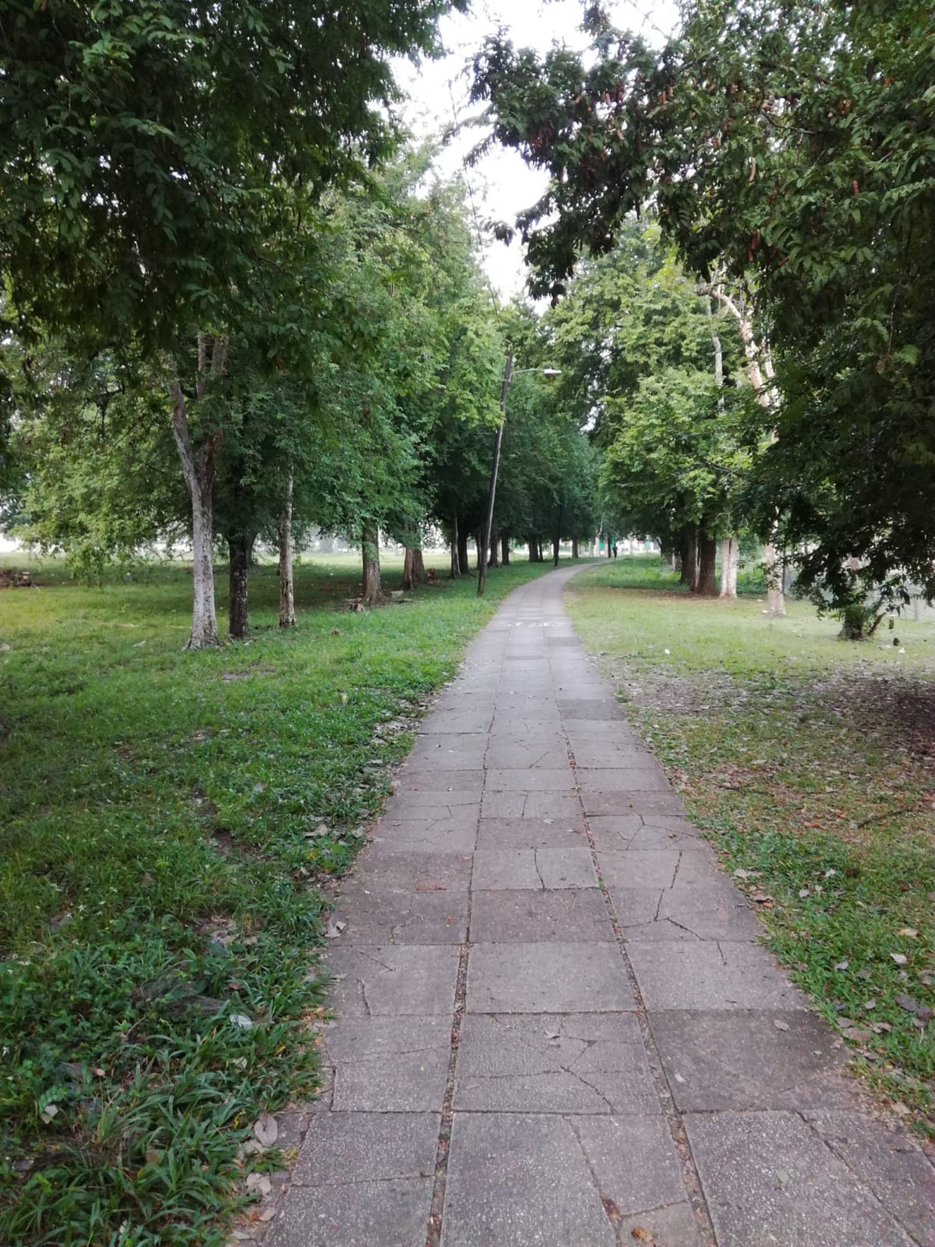 mountain range under blue sky