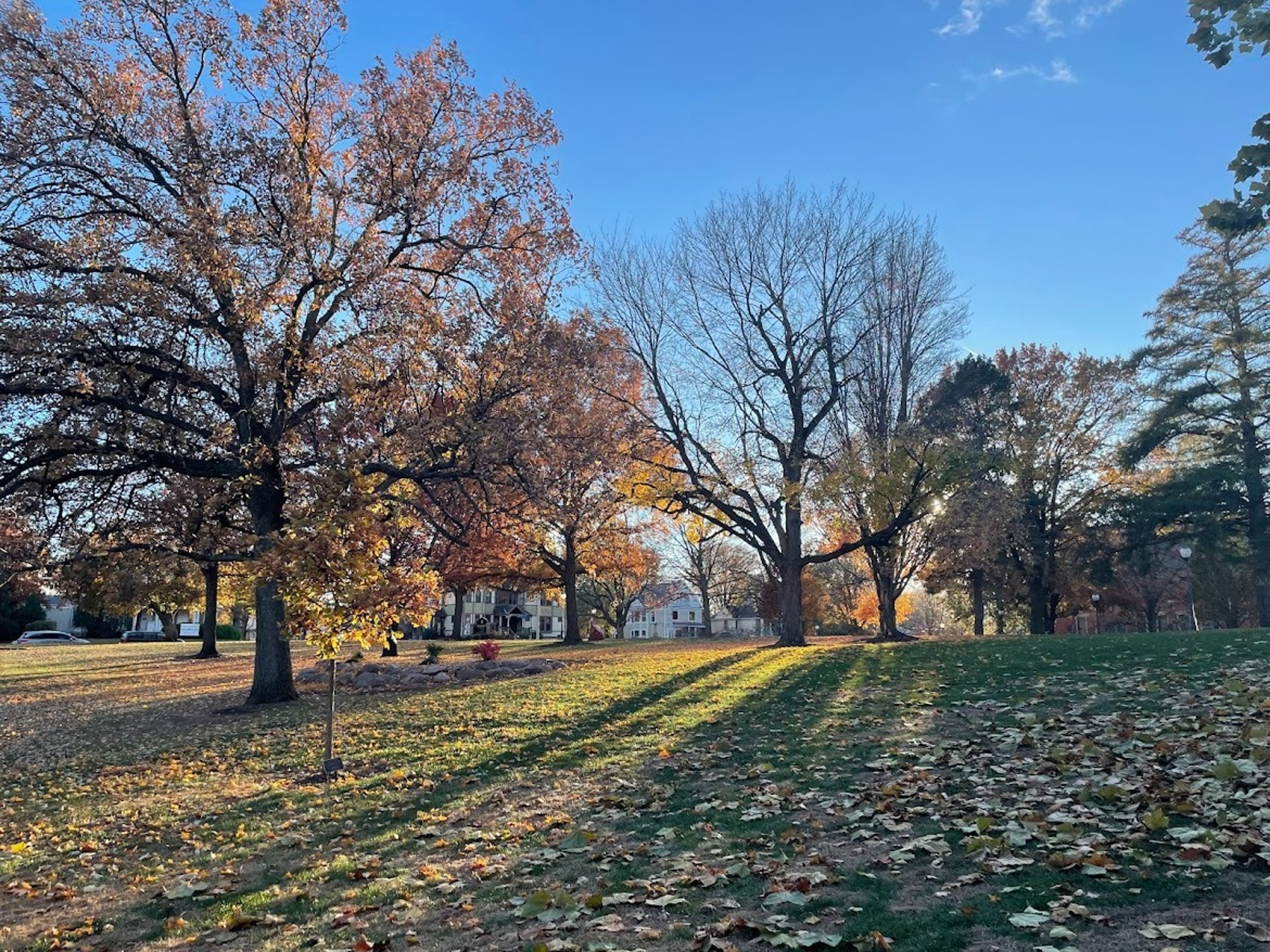 woman wearing yellow long-sleeved dress under white clouds and blue sky during daytime
