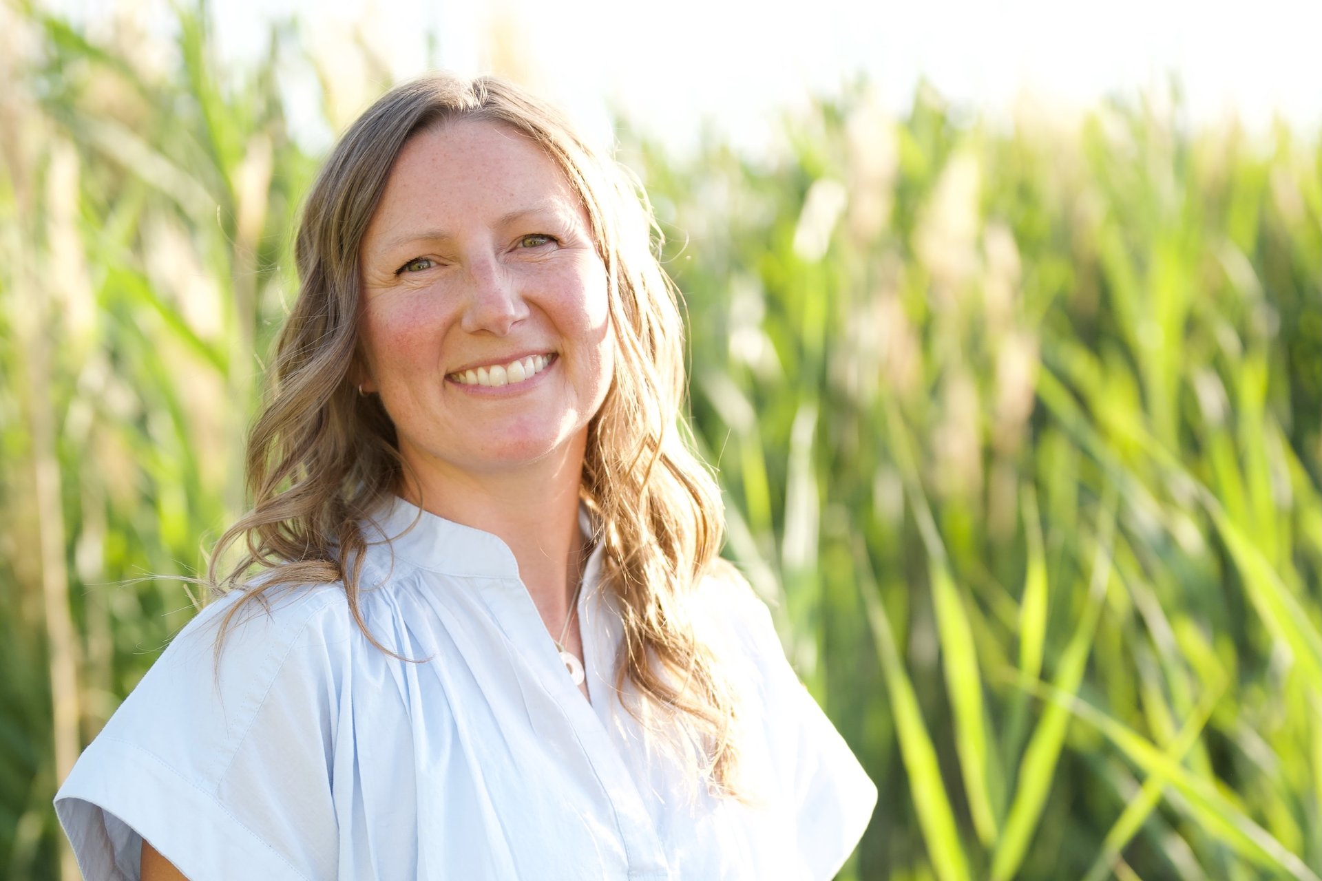 brown wooden house on lake