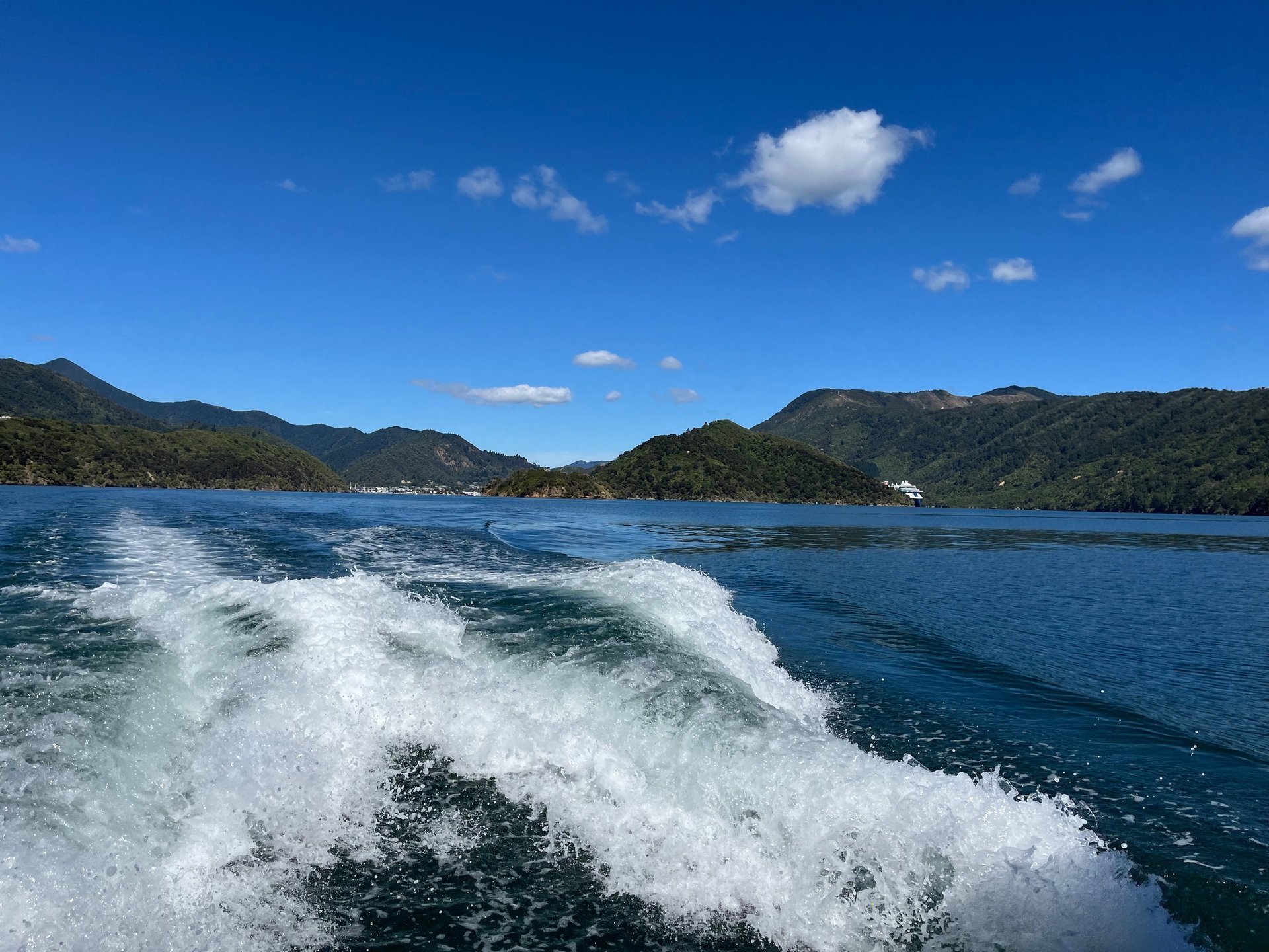 a hummingbird flying in the air with a green background