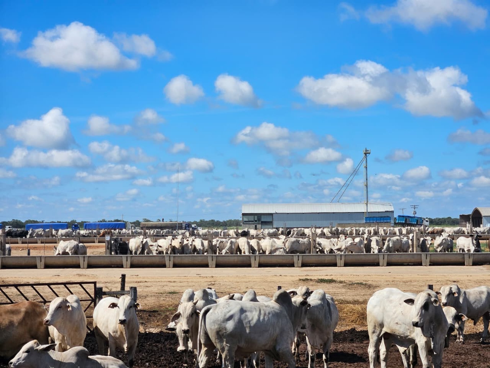 gray computer monitor