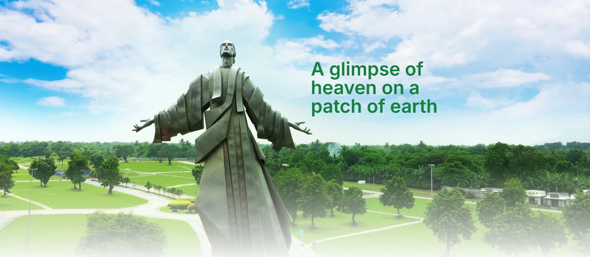 a bunch of flowers that are in the grass