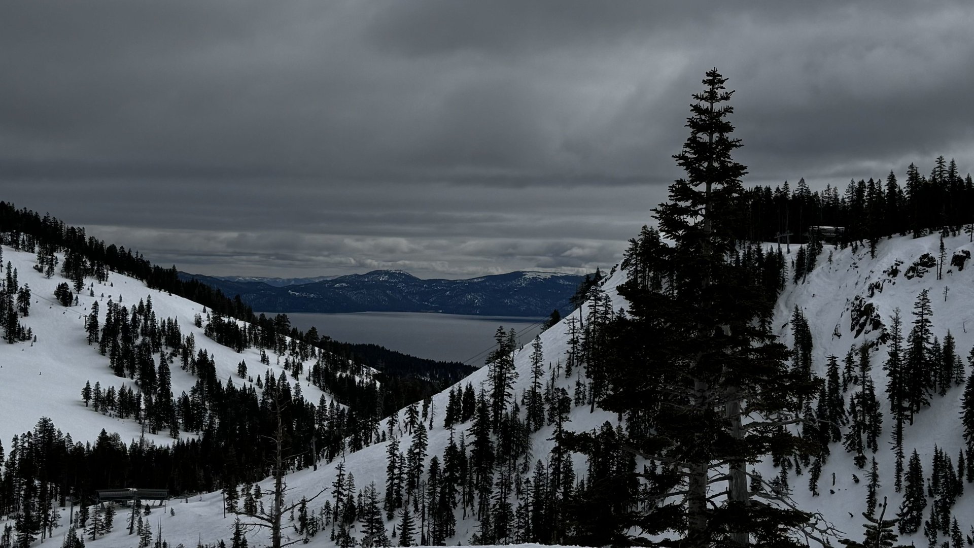 black and brown leather padded tub sofa