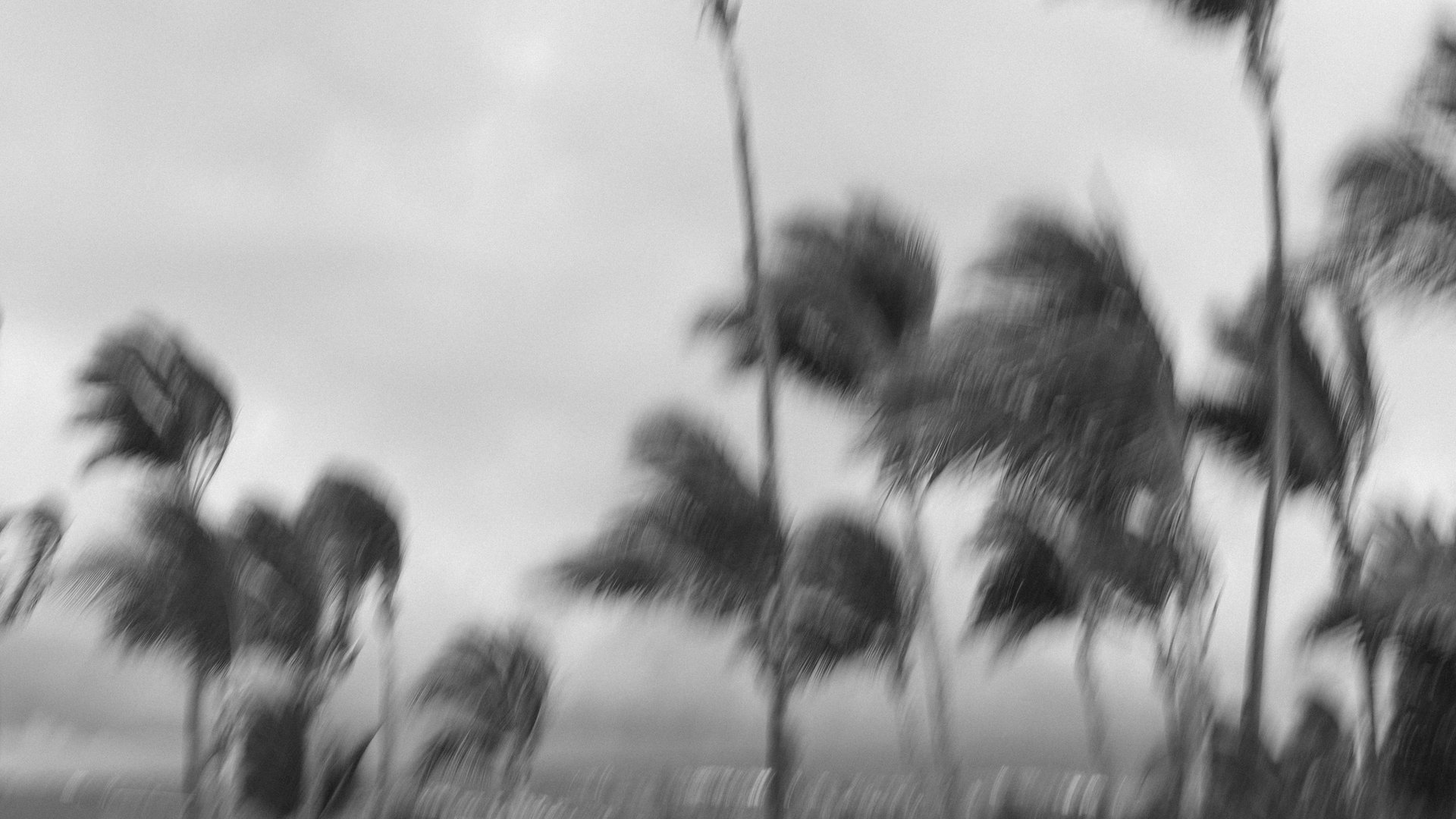 woman wearing yellow long-sleeved dress under white clouds and blue sky during daytime