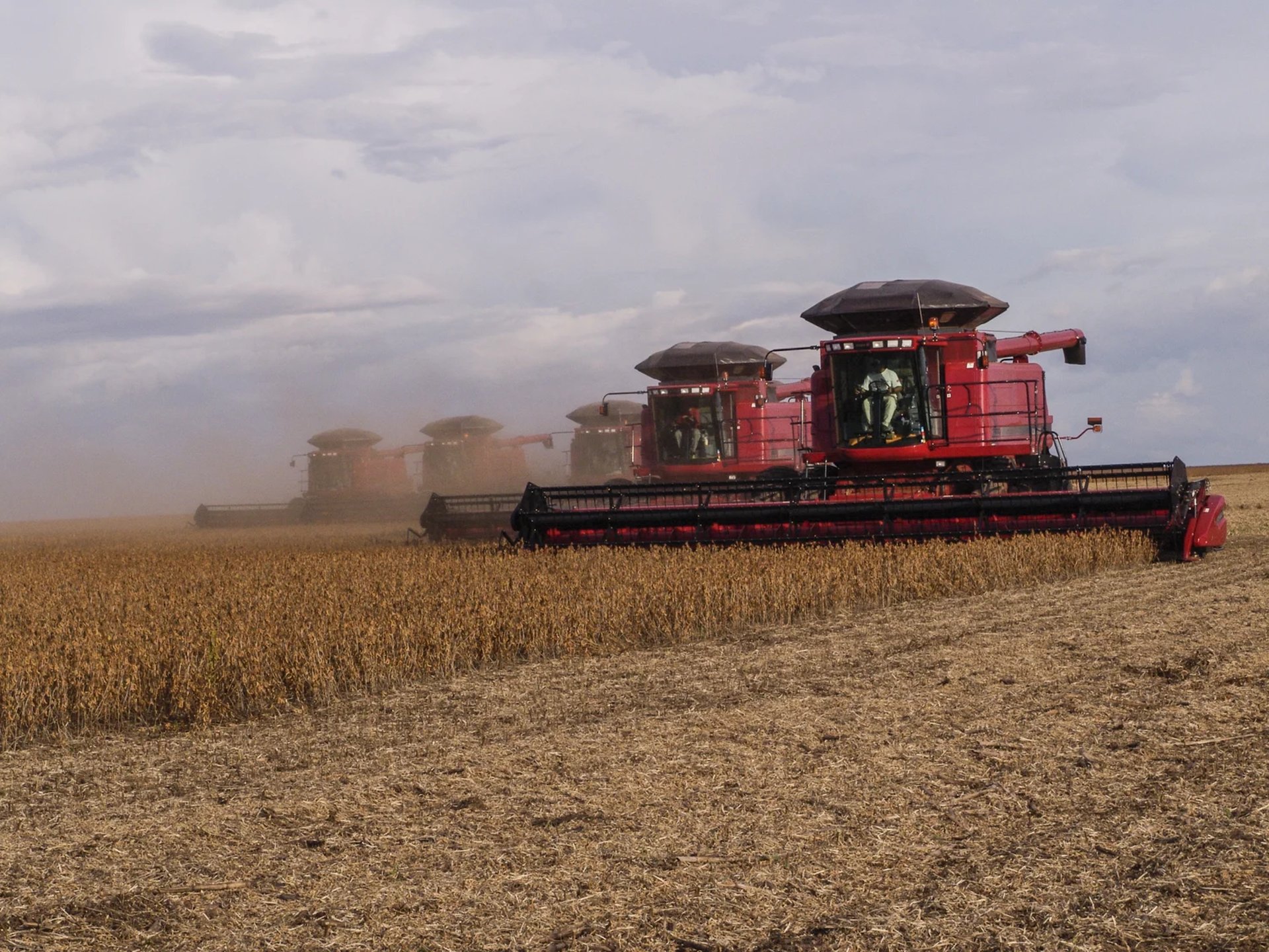 gray computer monitor