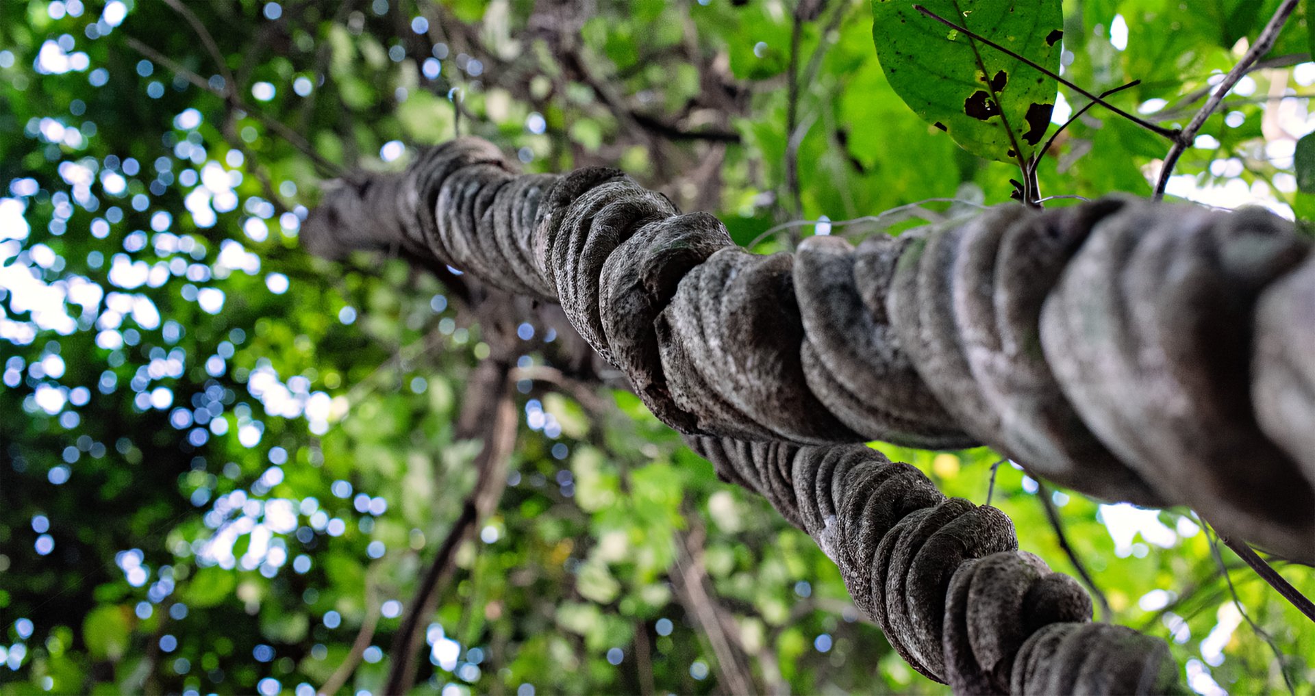 a close up of a black and brown abstract painting