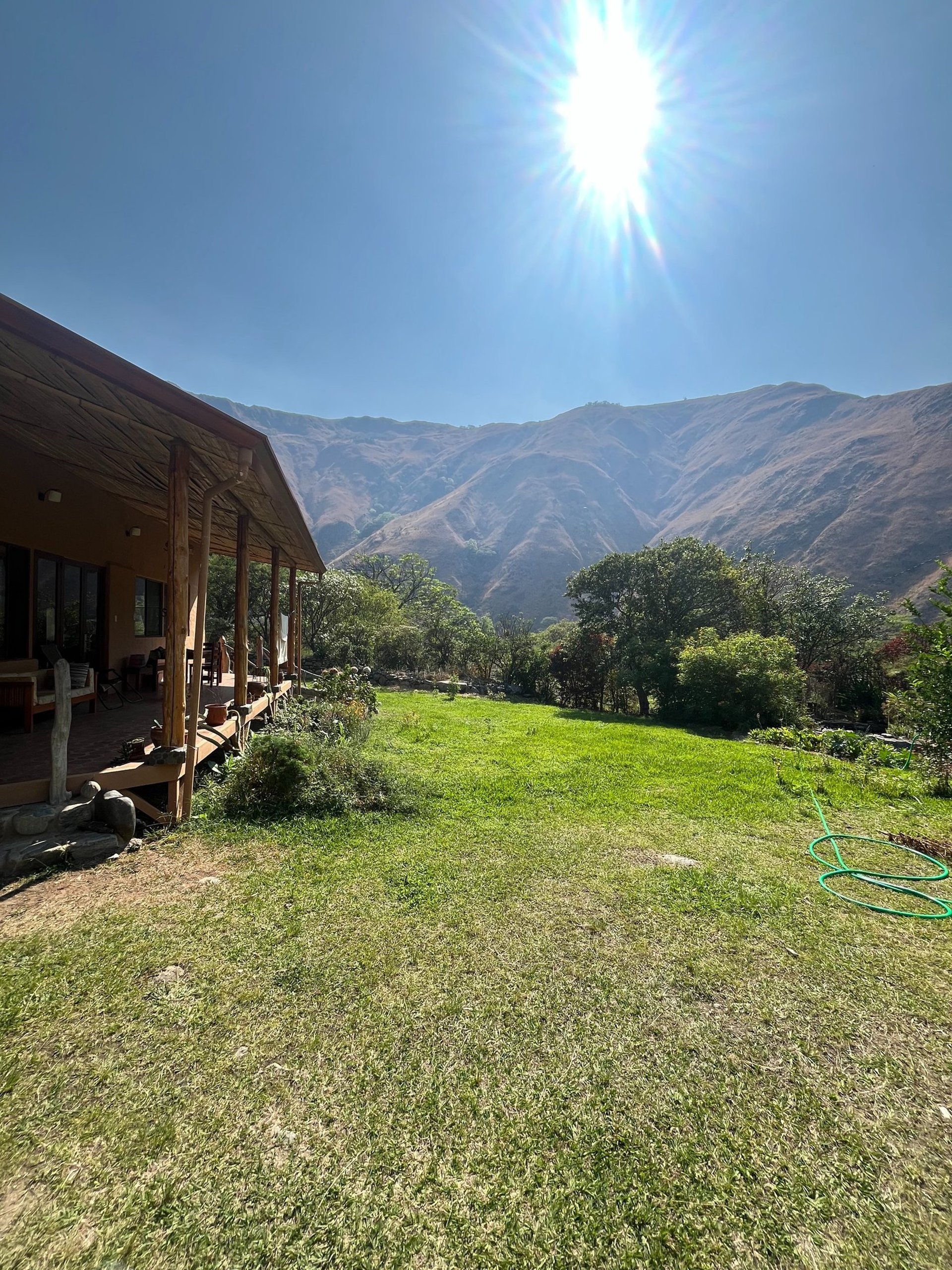 black blue and yellow textile