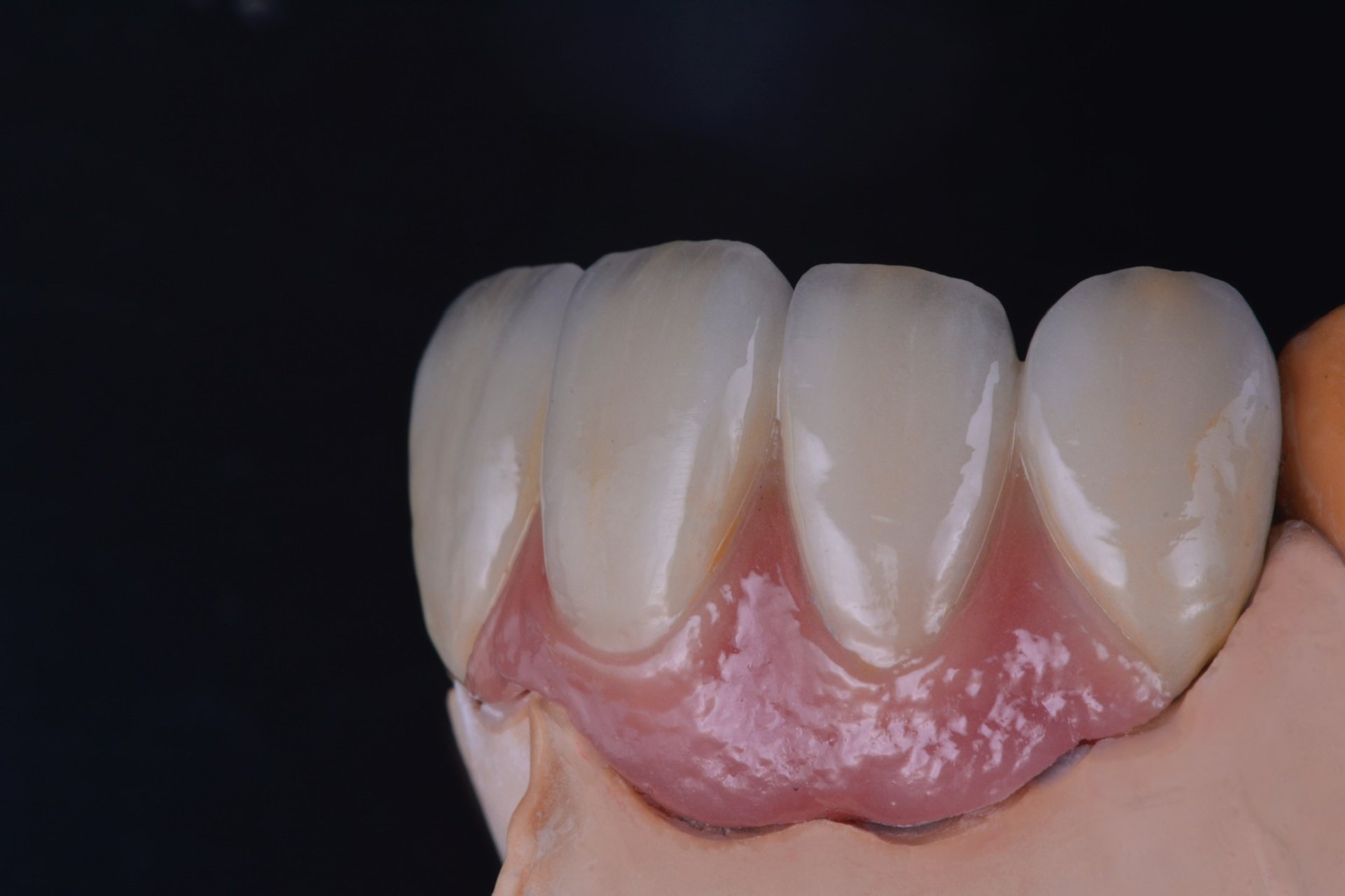 a close up of a fake skull with teeth