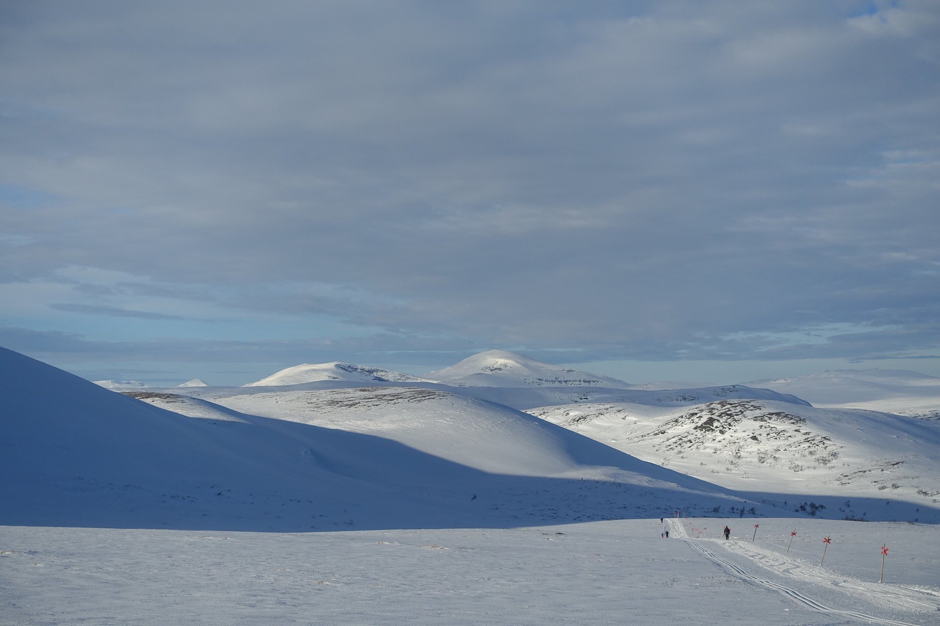 an abstract photo of a curved building with a blue sky in the background