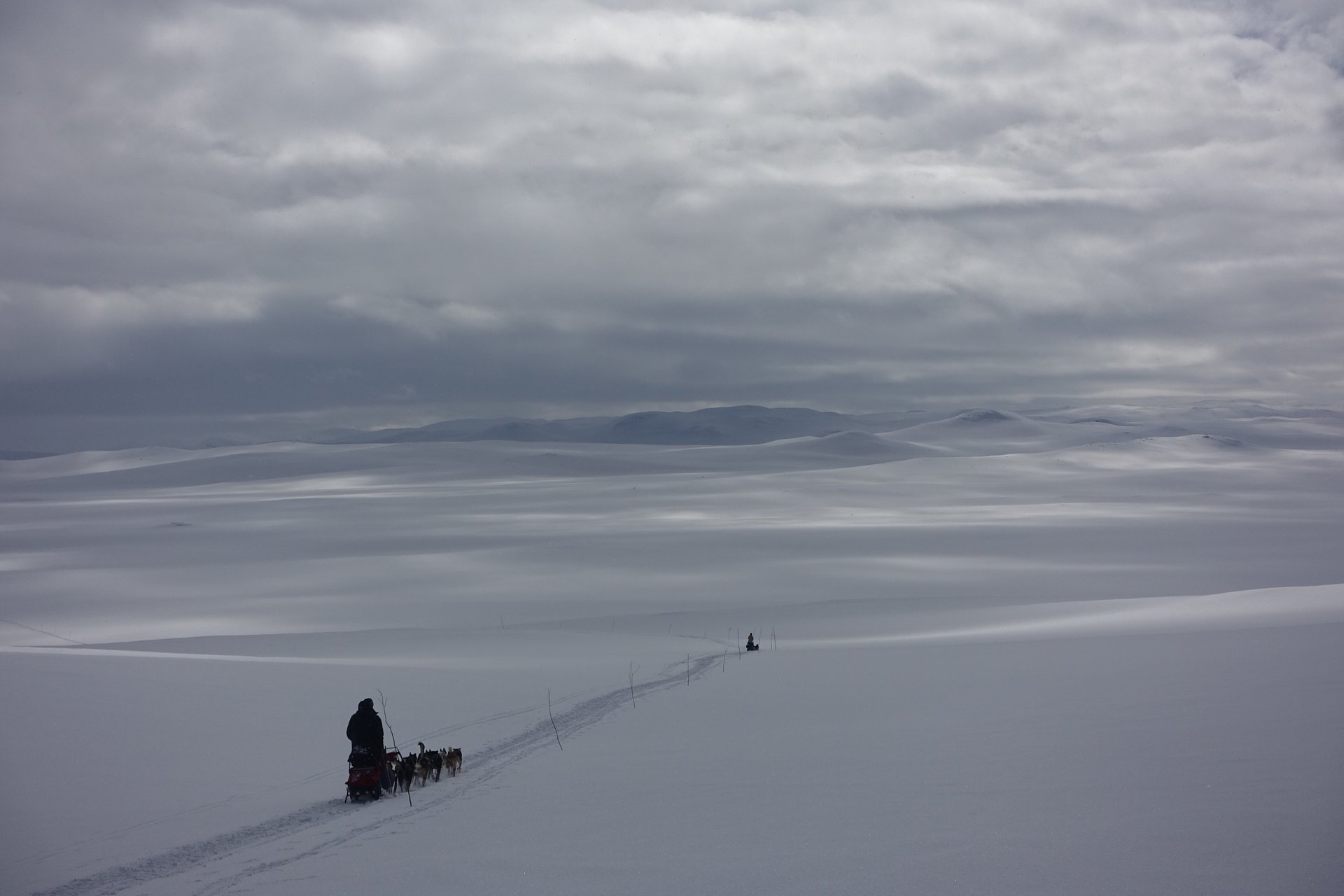 an abstract photo of a curved building with a blue sky in the background