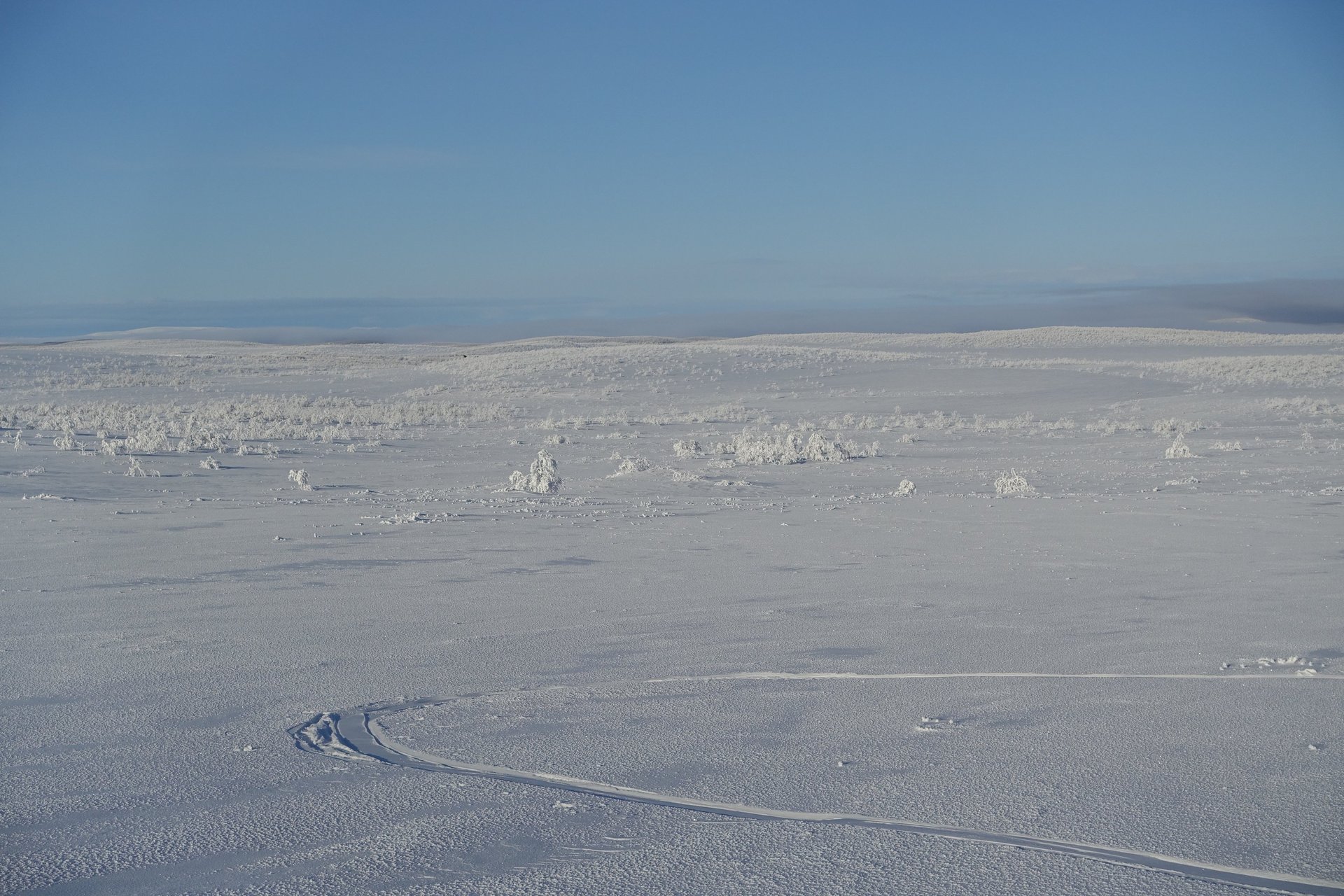 an abstract photo of a curved building with a blue sky in the background