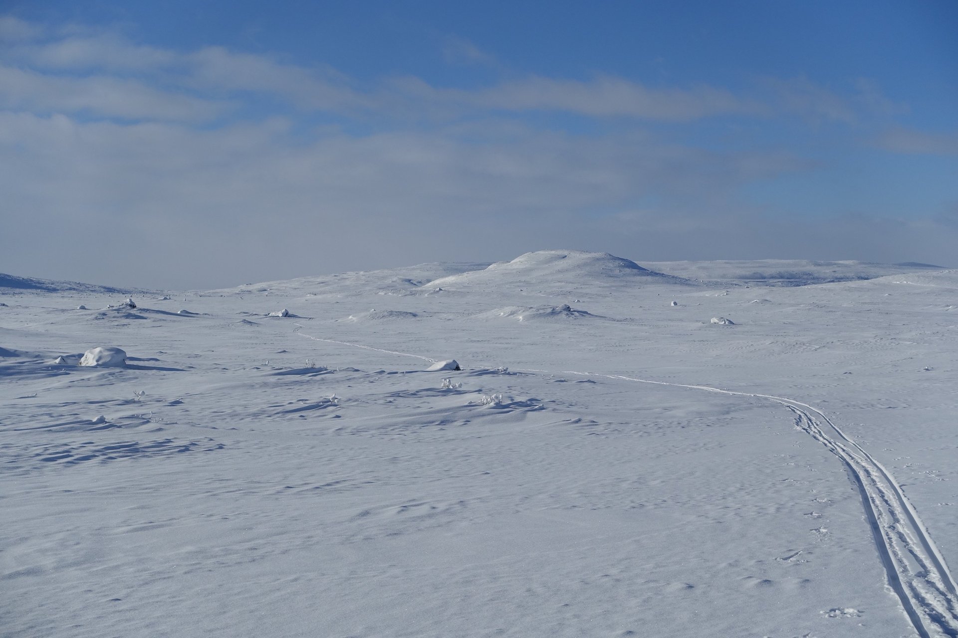 an abstract photo of a curved building with a blue sky in the background