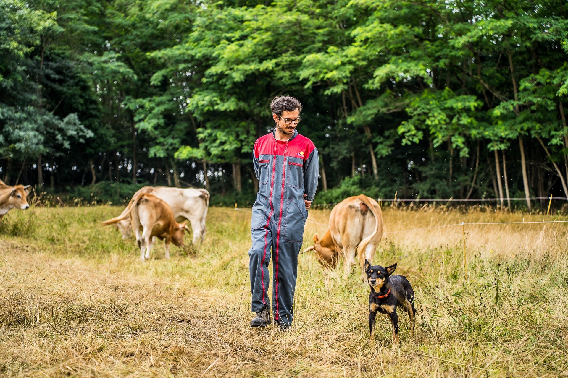 black blue and yellow textile