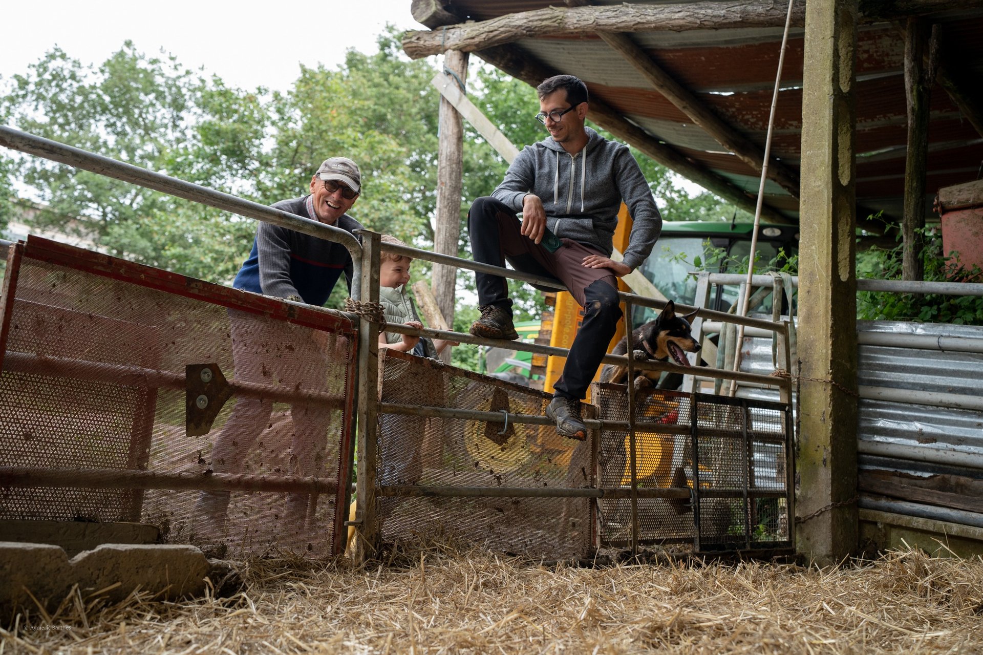 black blue and yellow textile