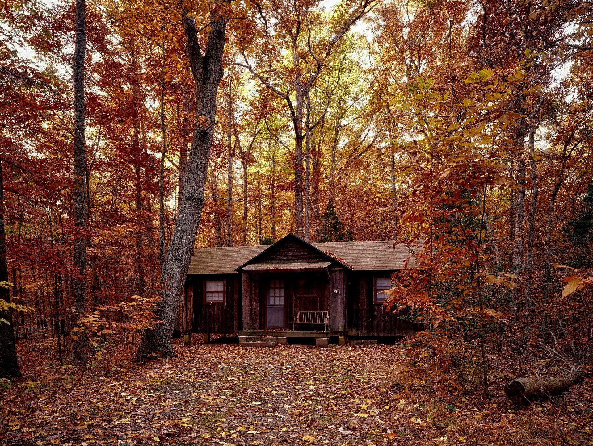 an abstract photo of a curved building with a blue sky in the background