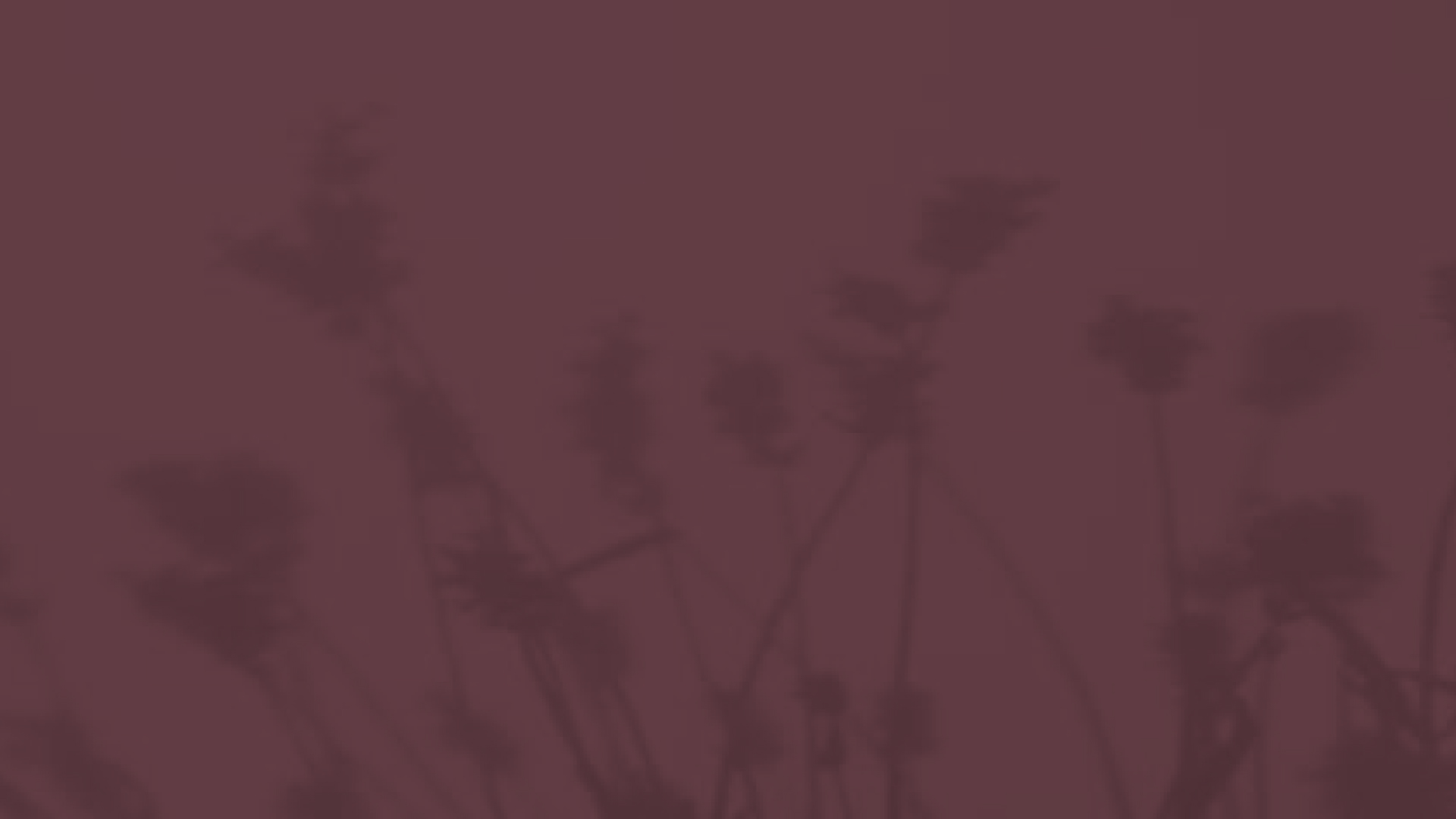 couple wearing silver-colored rings