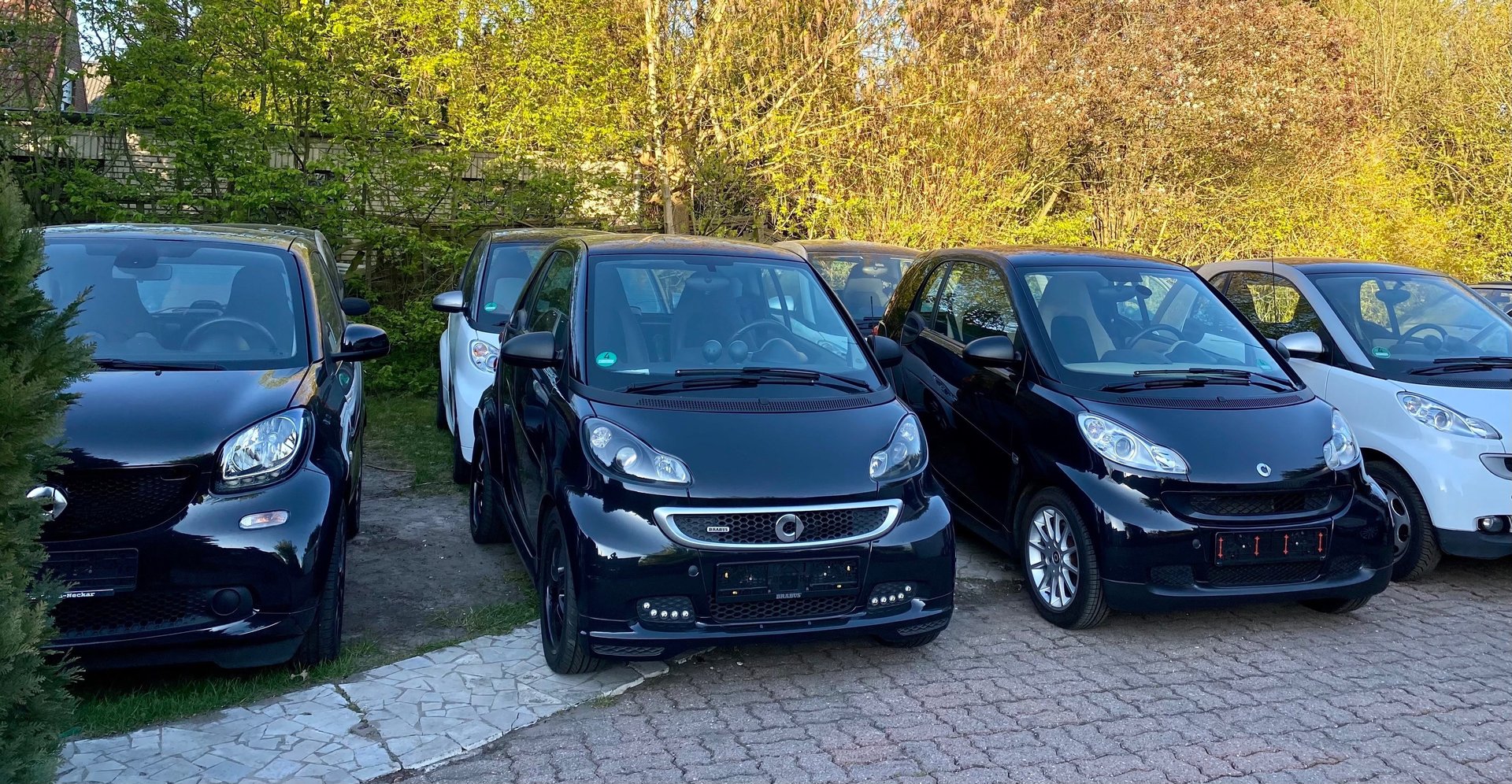 woman wearing yellow long-sleeved dress under white clouds and blue sky during daytime