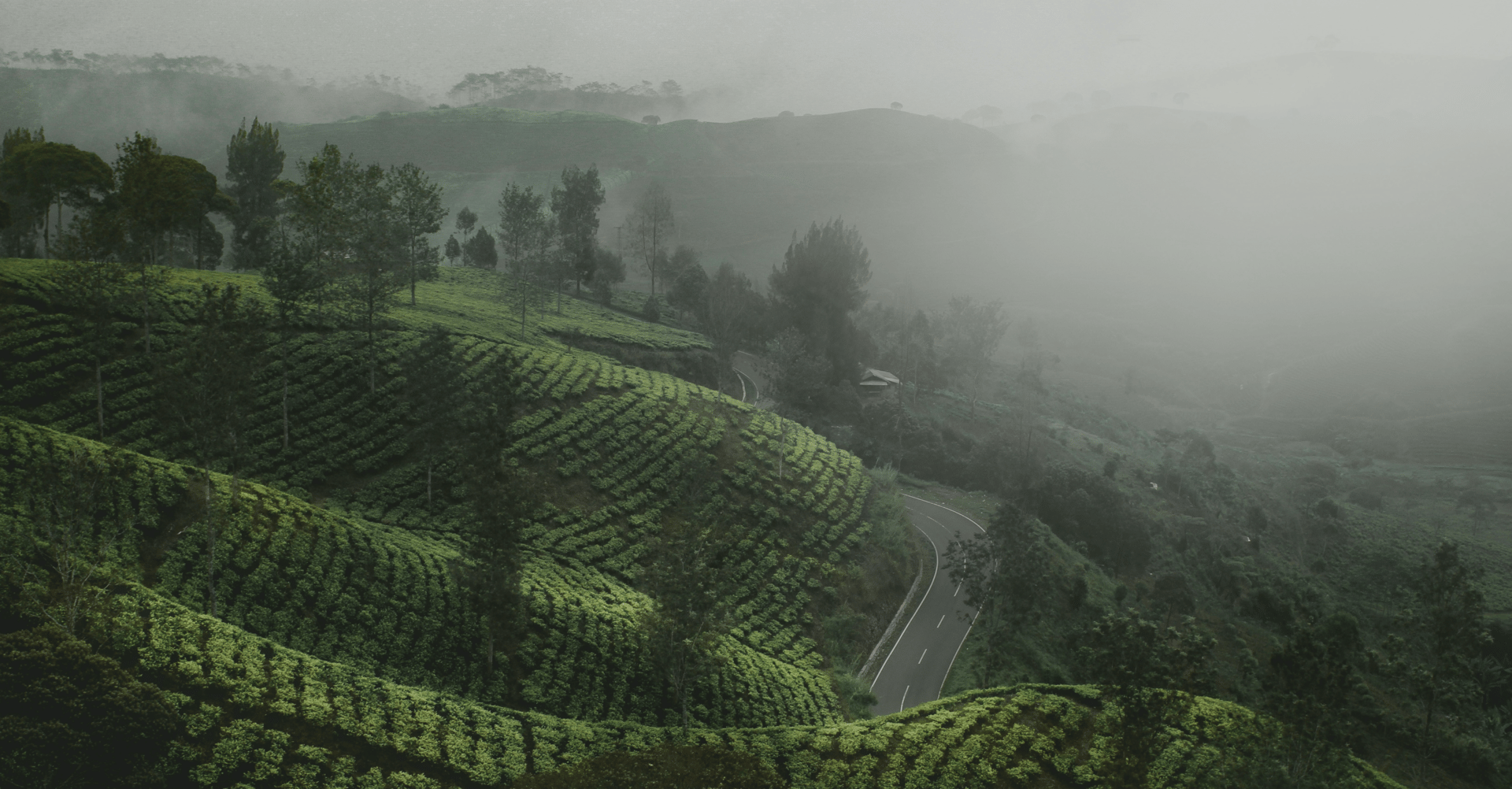 a few hands holding a small white object