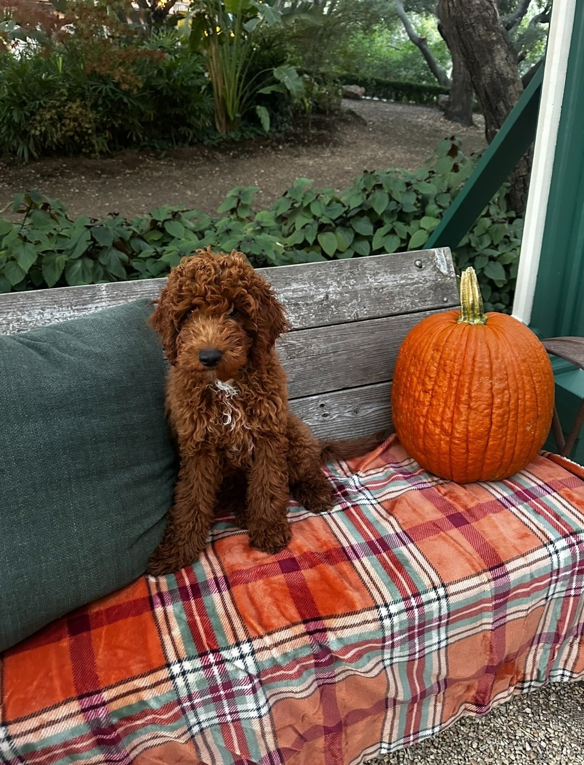 woman wearing yellow long-sleeved dress under white clouds and blue sky during daytime