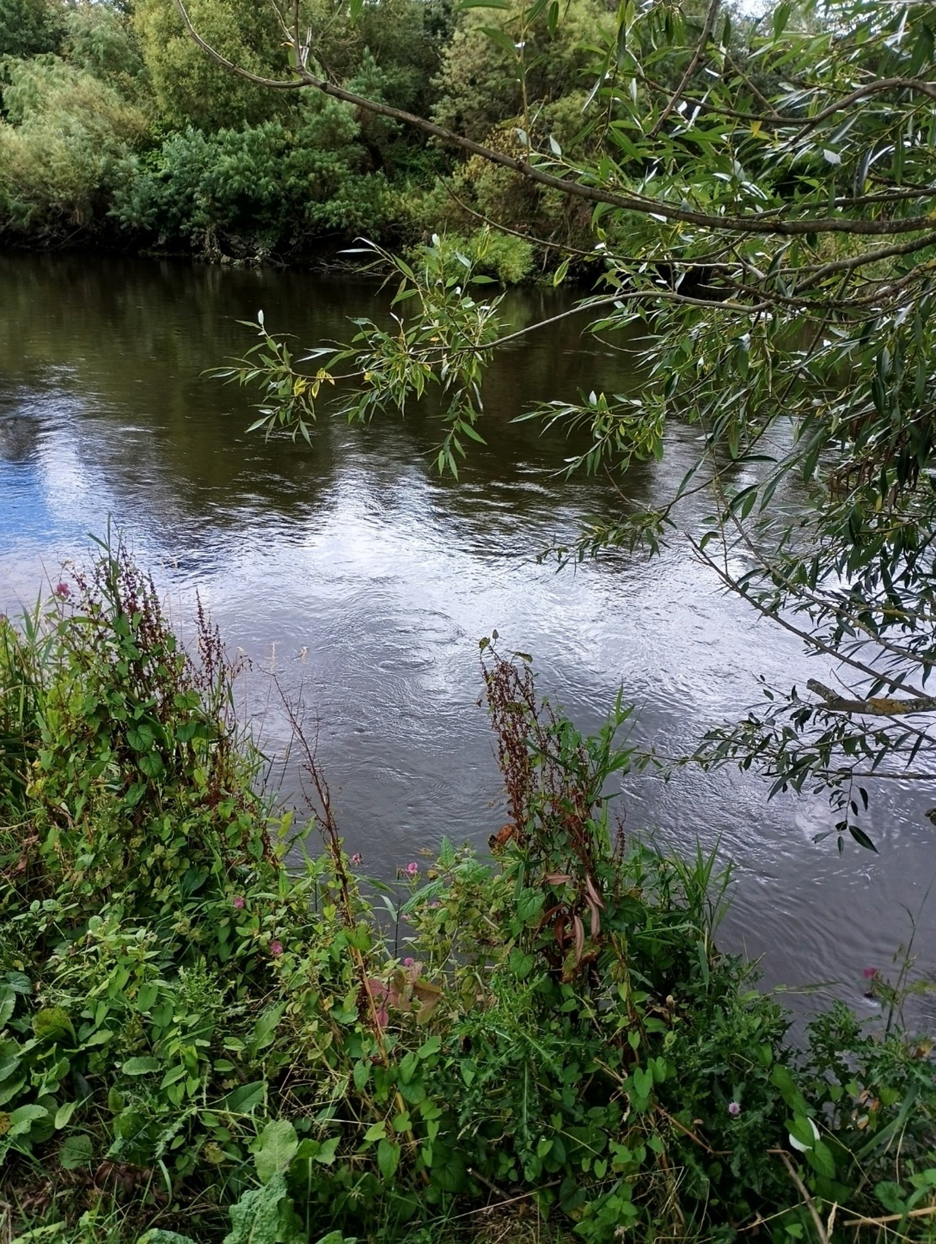 black and brown leather padded tub sofa