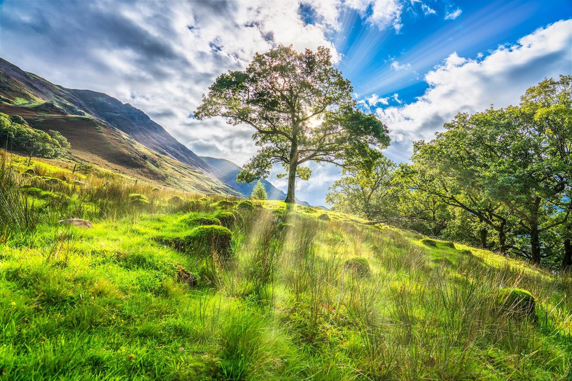 woman wearing yellow long-sleeved dress under white clouds and blue sky during daytime