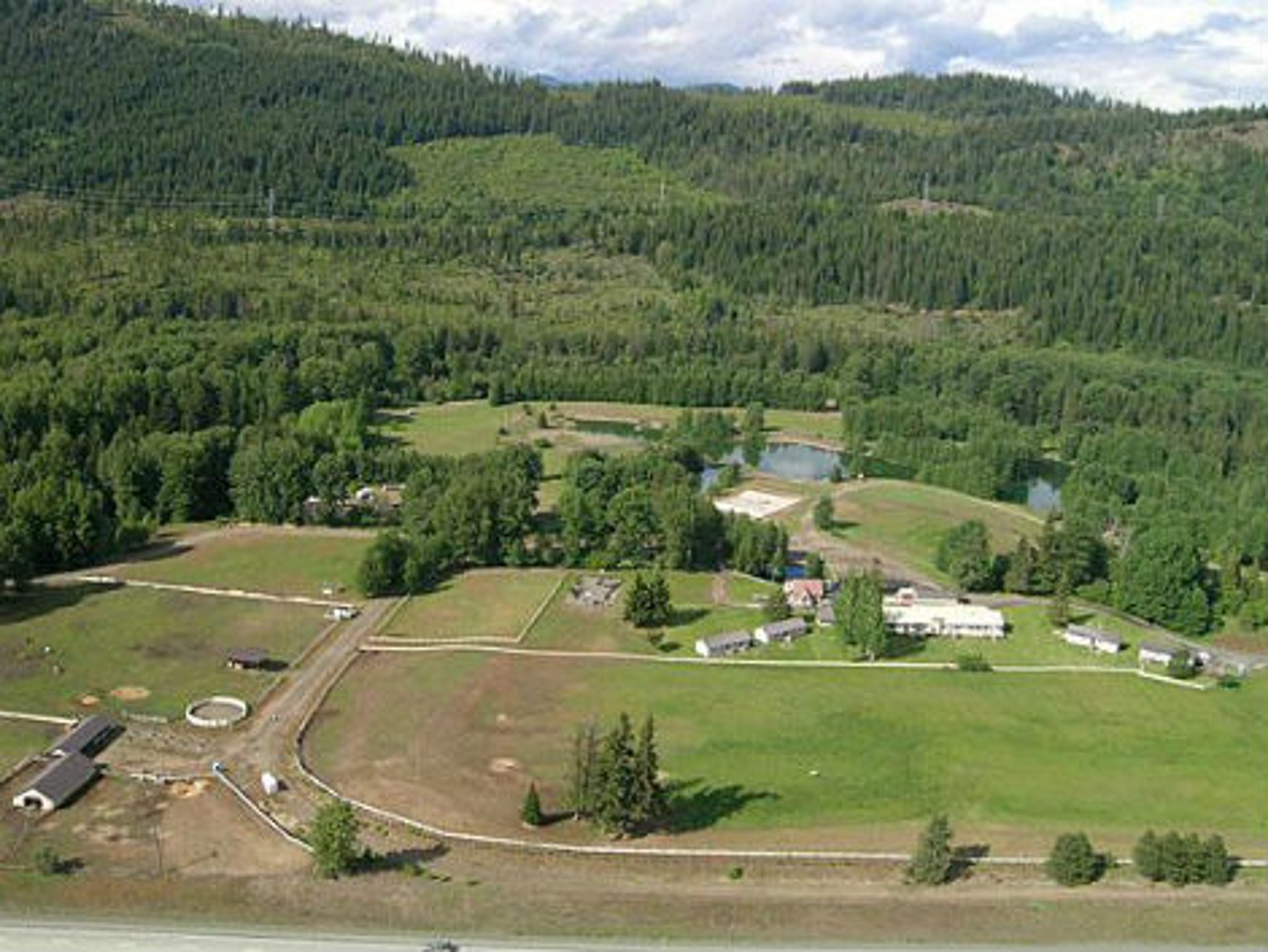 black and white bed linen