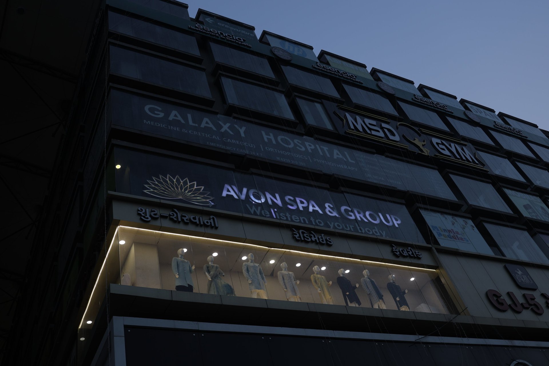 persons hand on top of sun