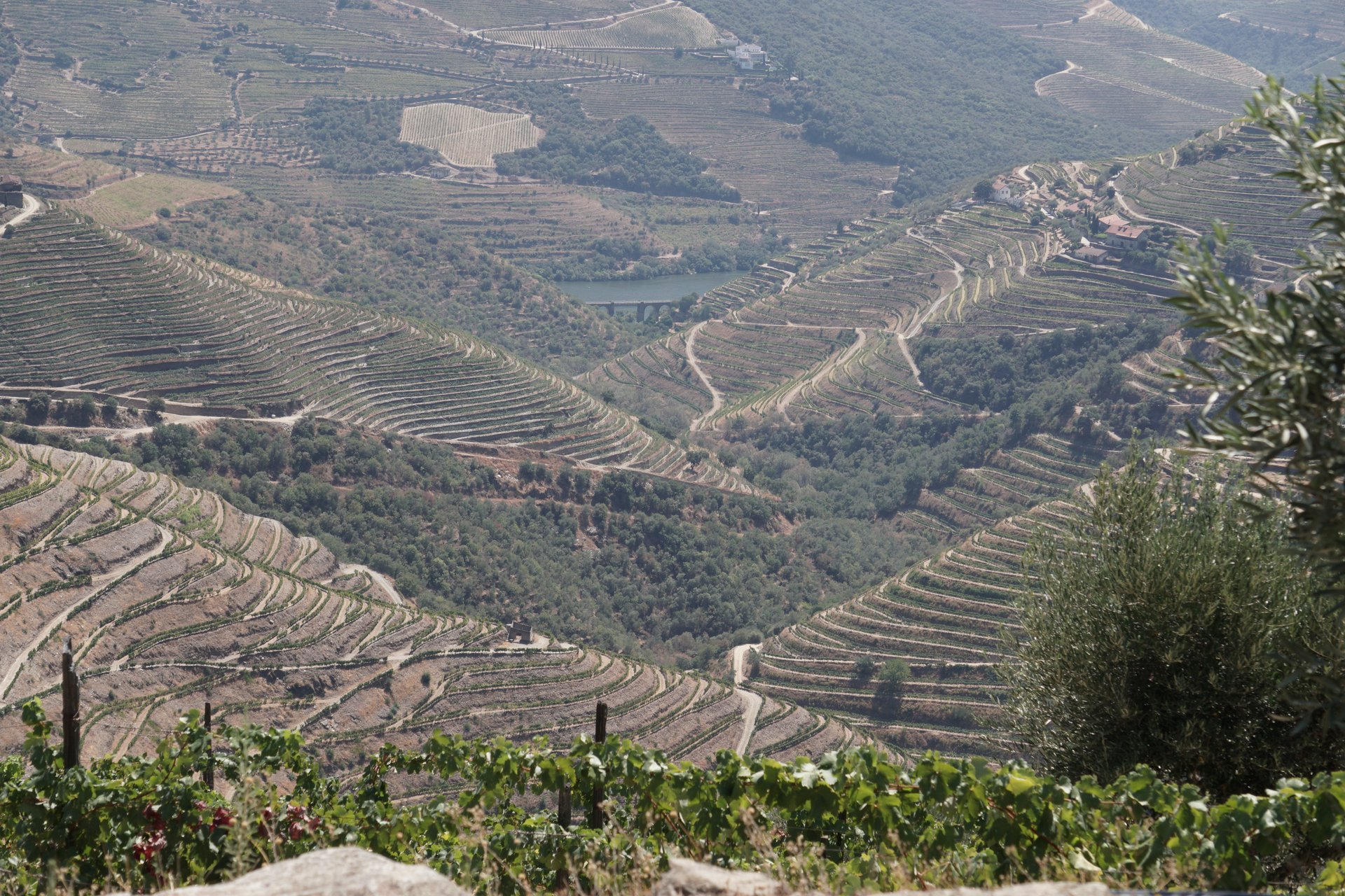 an abstract photo of a curved building with a blue sky in the background