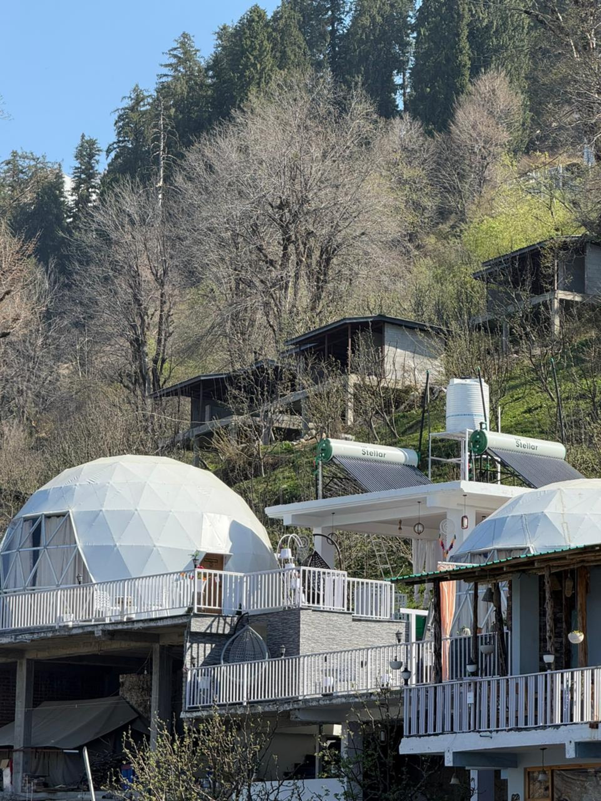 black and white bed linen