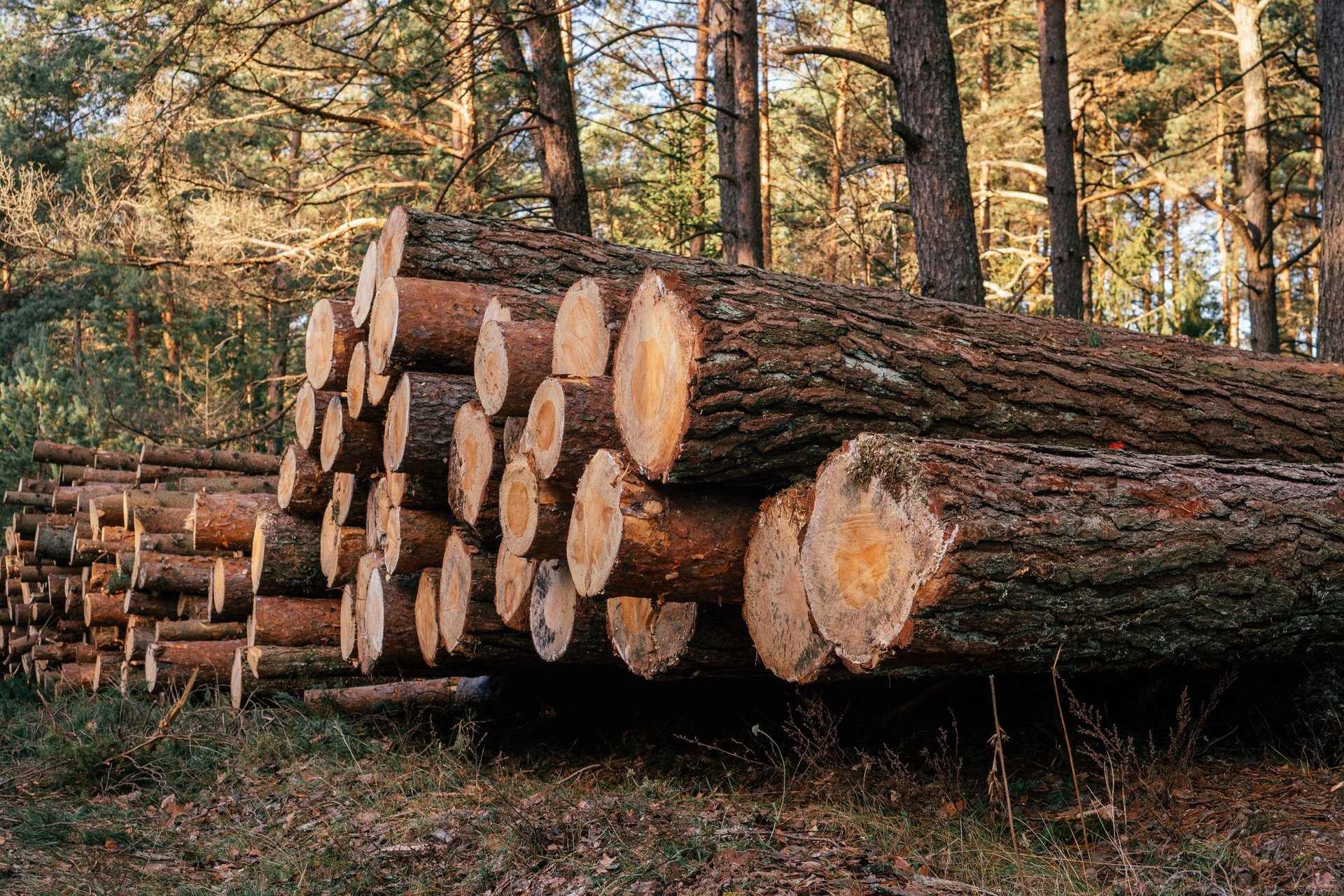an abstract photo of a curved building with a blue sky in the background