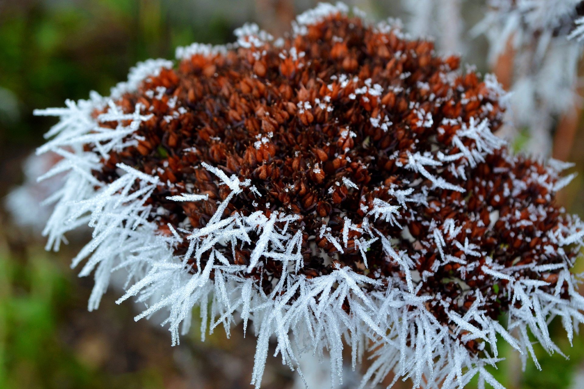 gray computer monitor