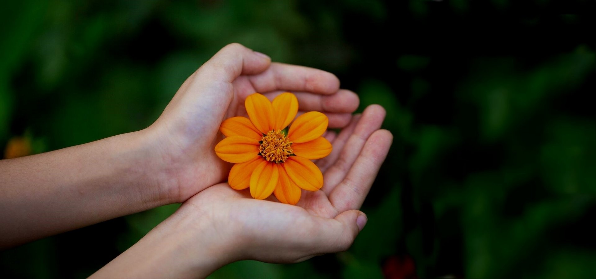 black and brown leather padded tub sofa