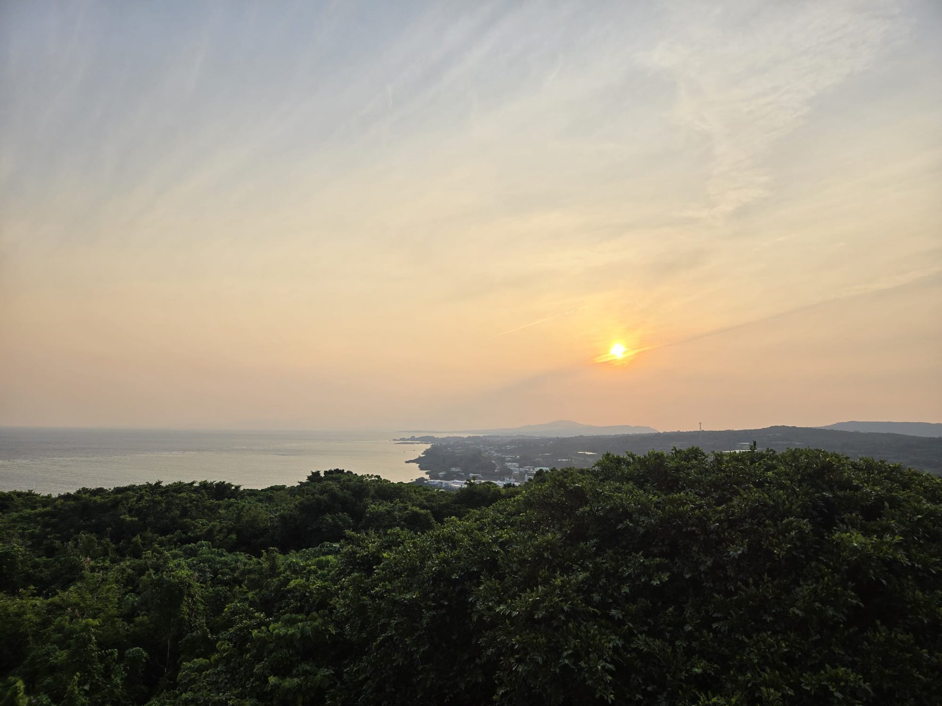 couple wearing silver-colored rings