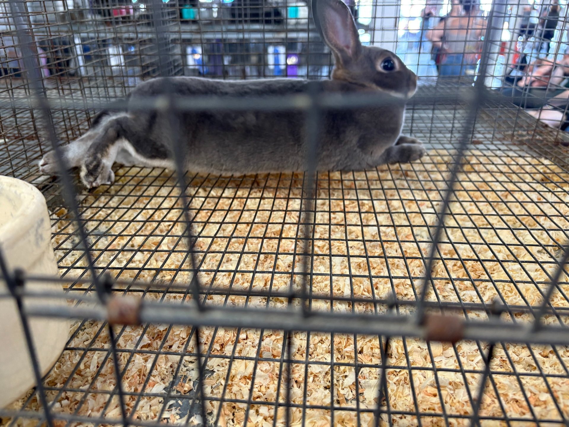 black blue and yellow textile