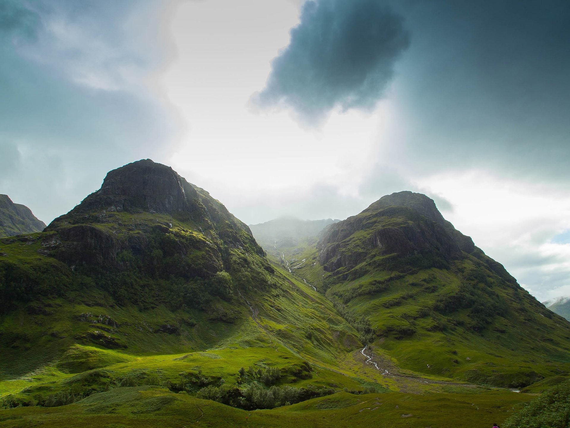 black and white bed linen