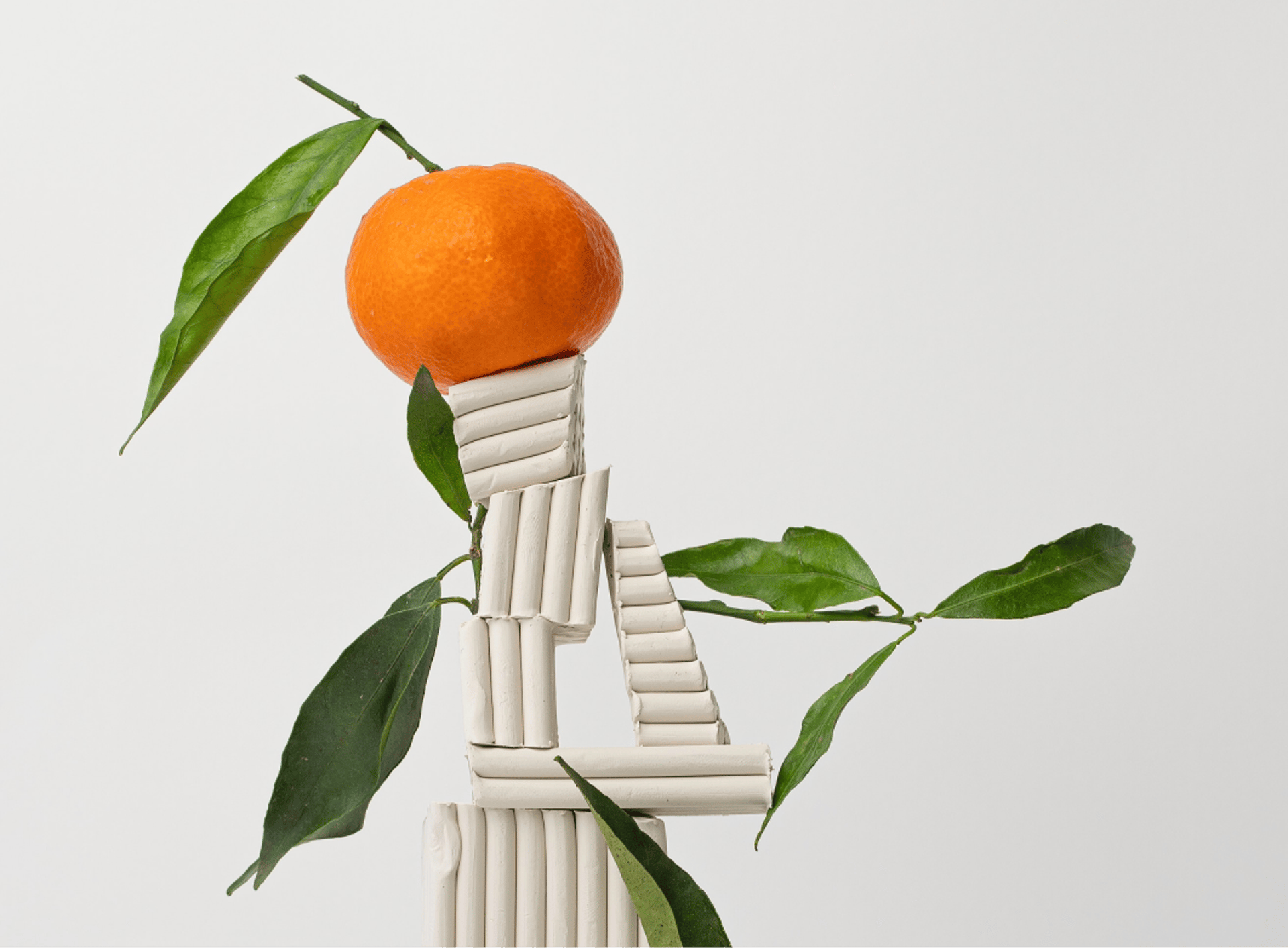 person holding black ipad with green plant