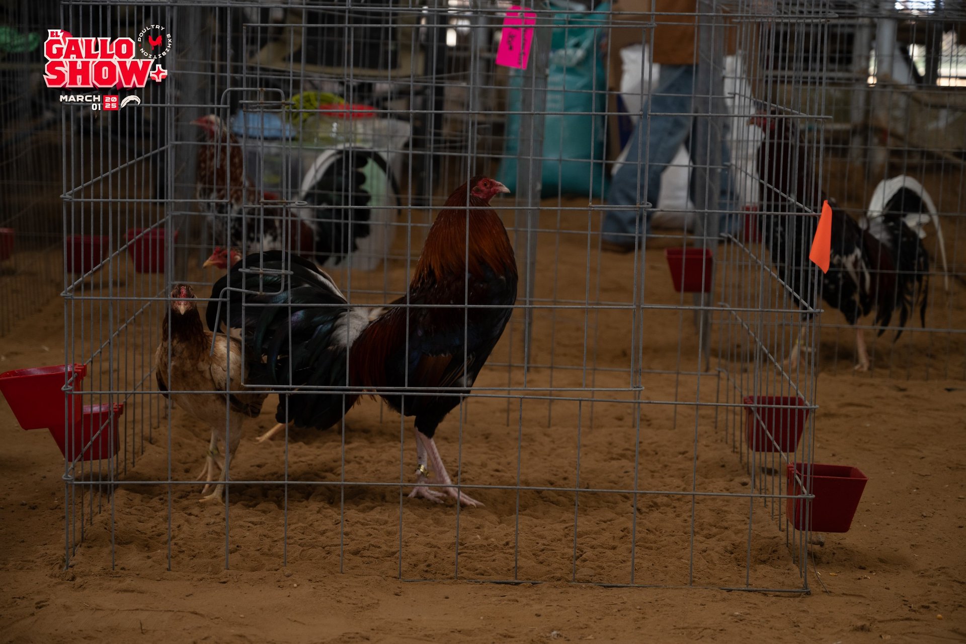 mountain range under blue sky