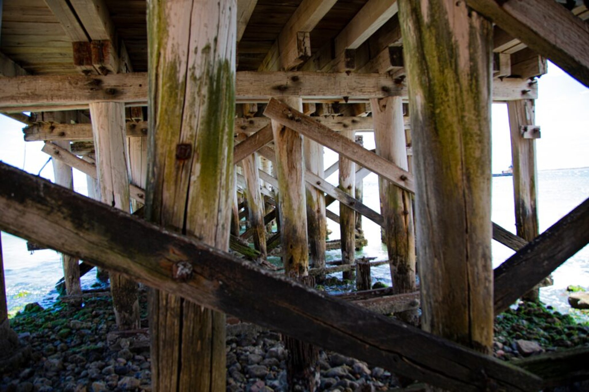 black blue and yellow textile