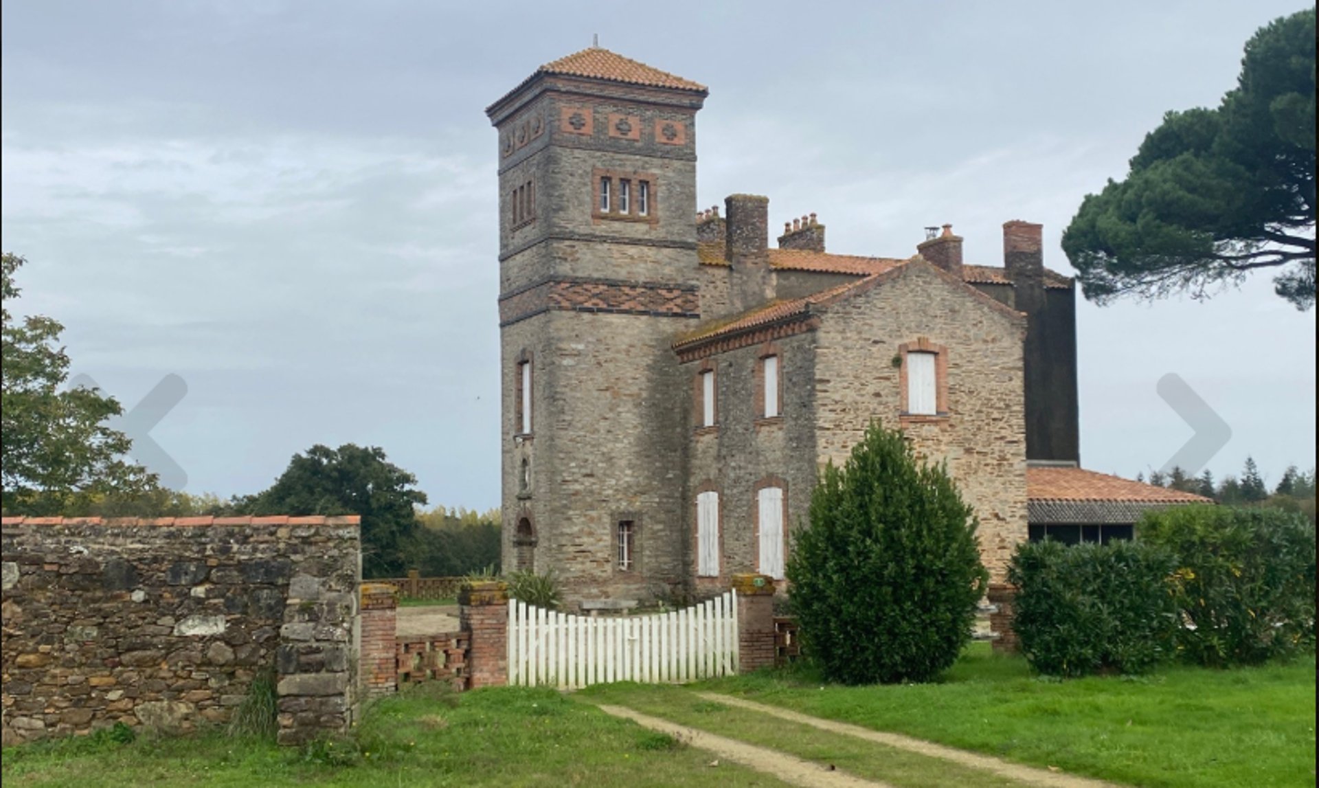 couple wearing silver-colored rings