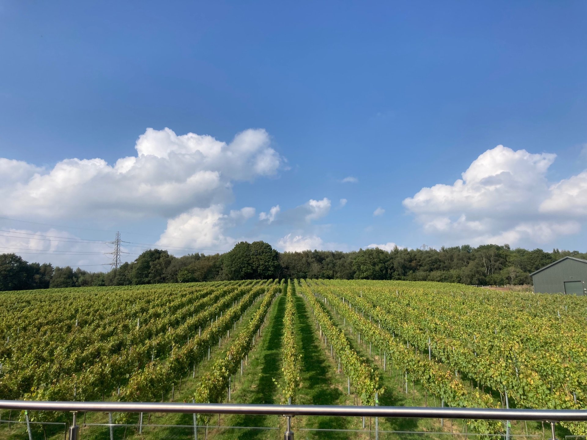 mountain range under blue sky
