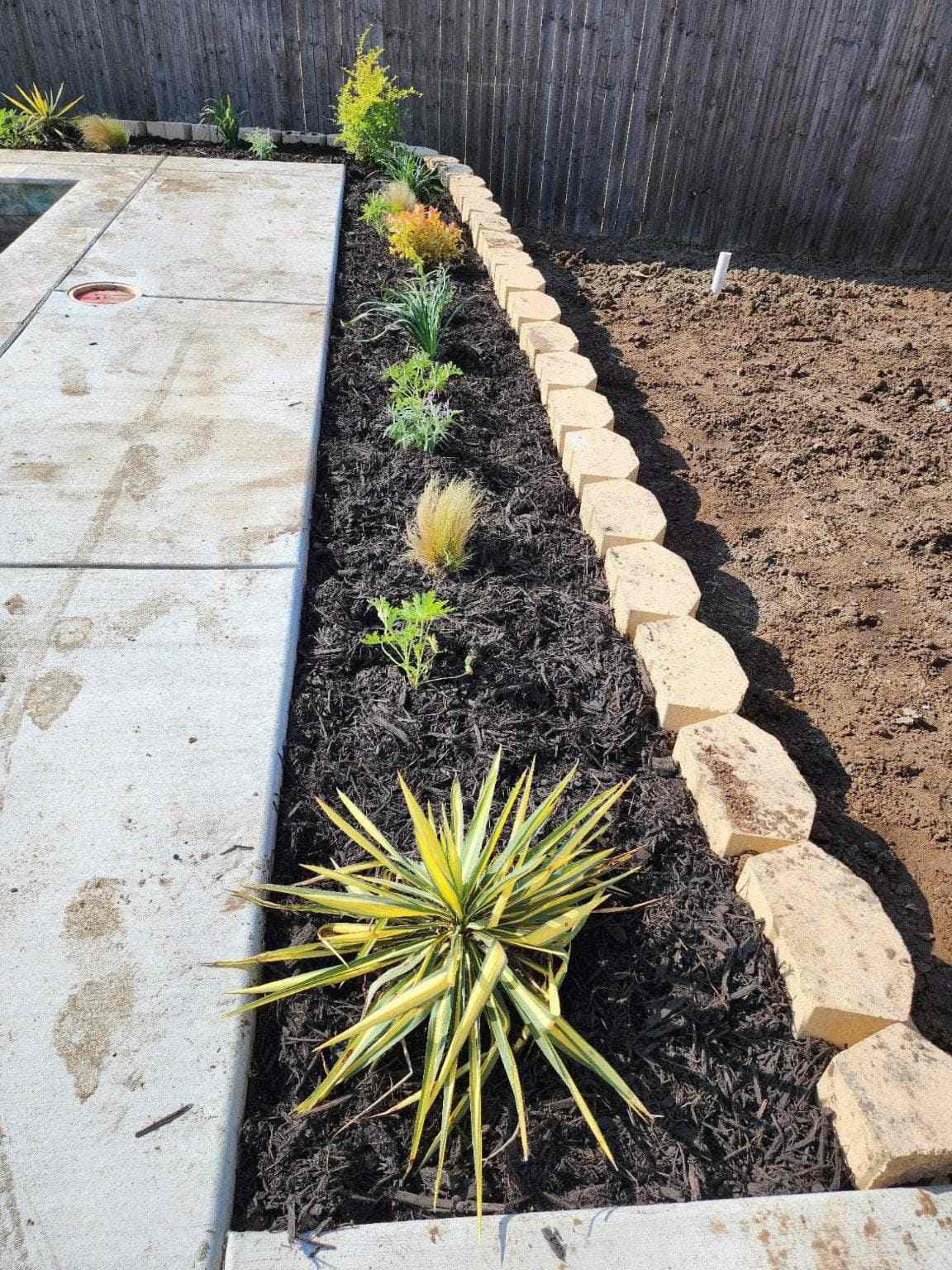 Newly landscaped garden bed with plants.