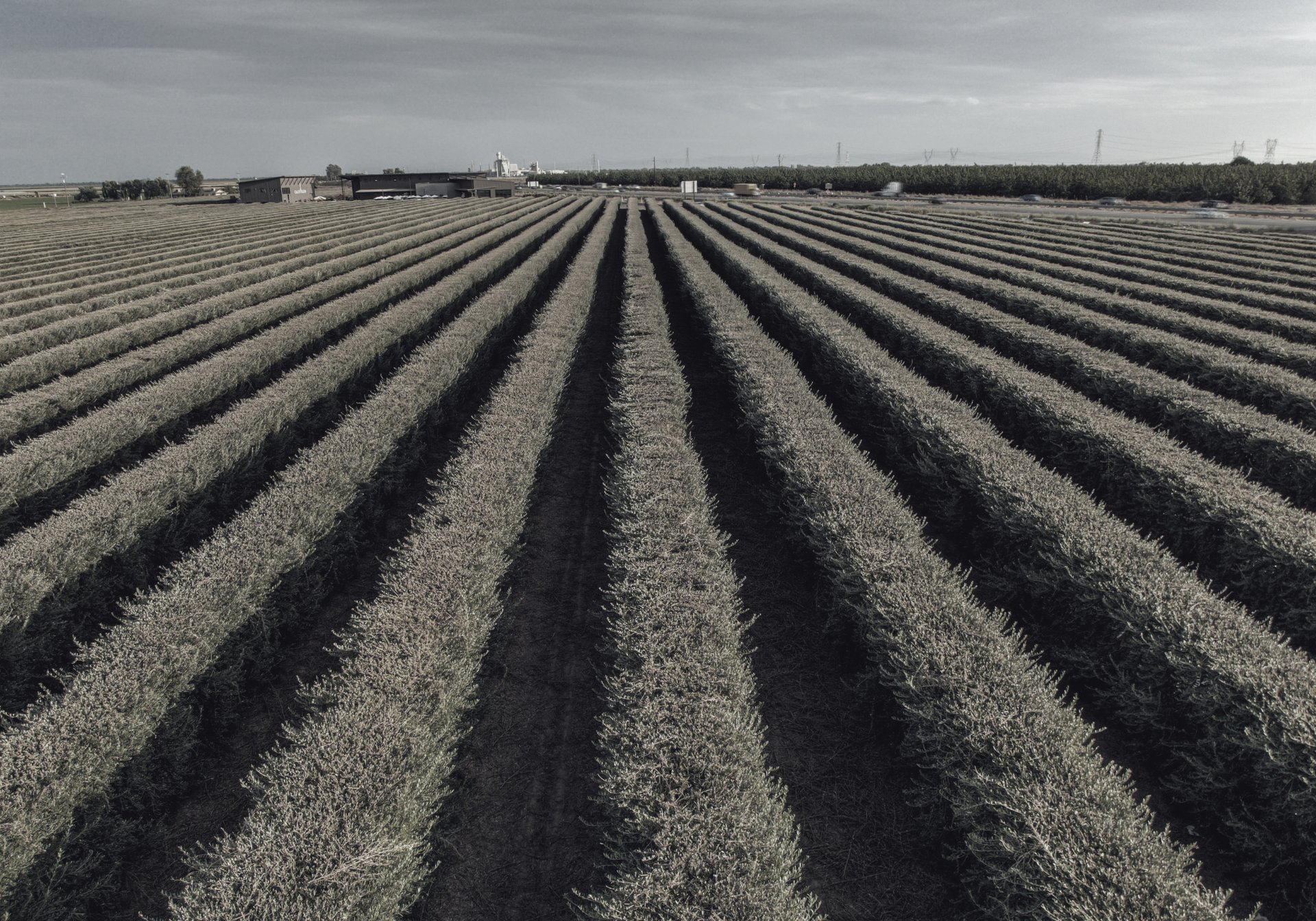 A black and white photo of a building at night