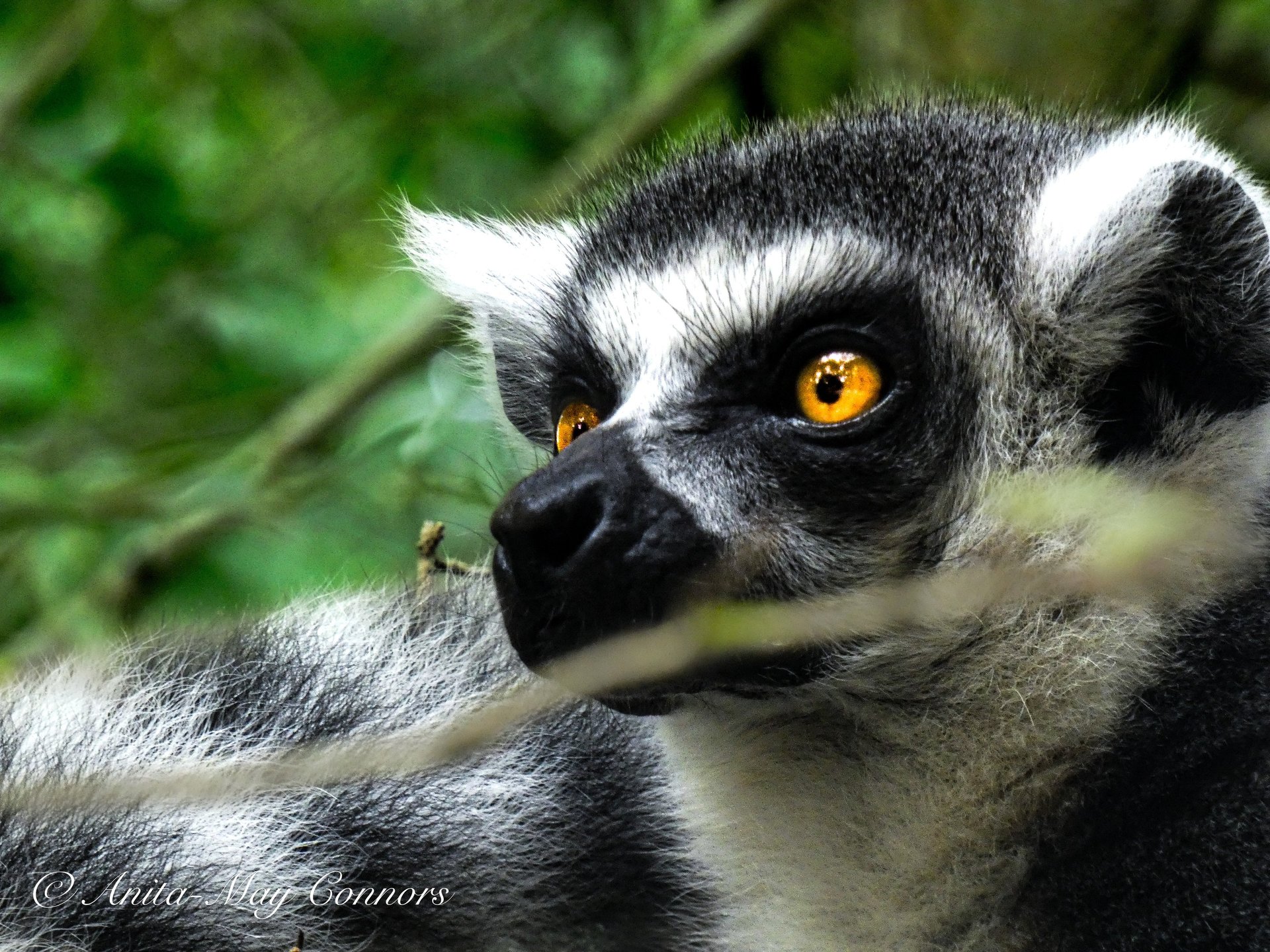 black and white bed linen