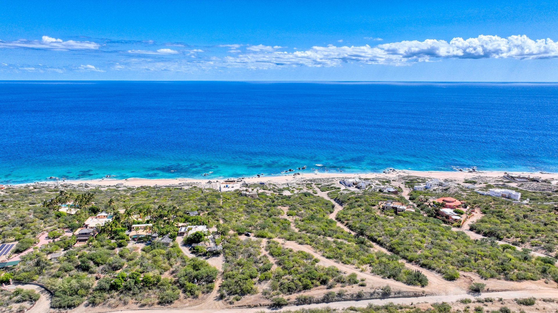 a close up of a black and brown abstract painting