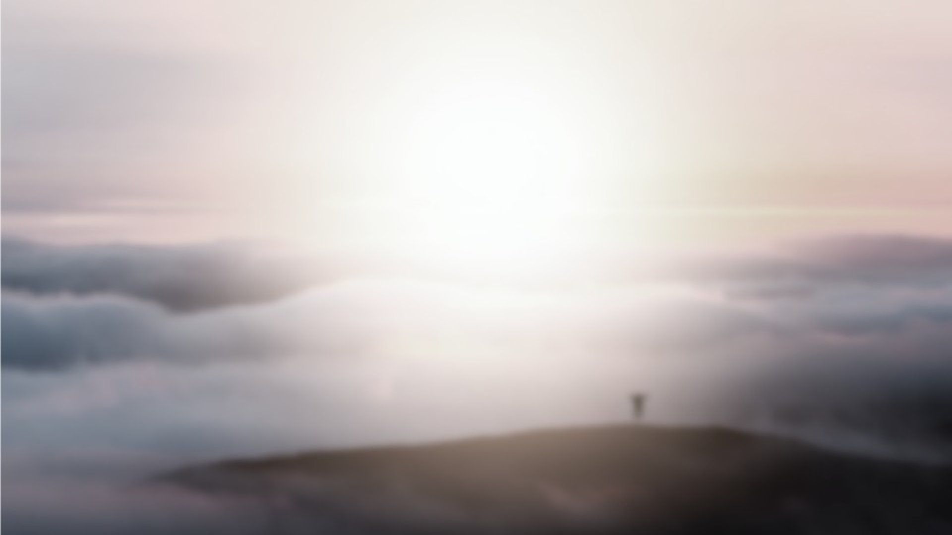 an abstract photo of a curved building with a blue sky in the background