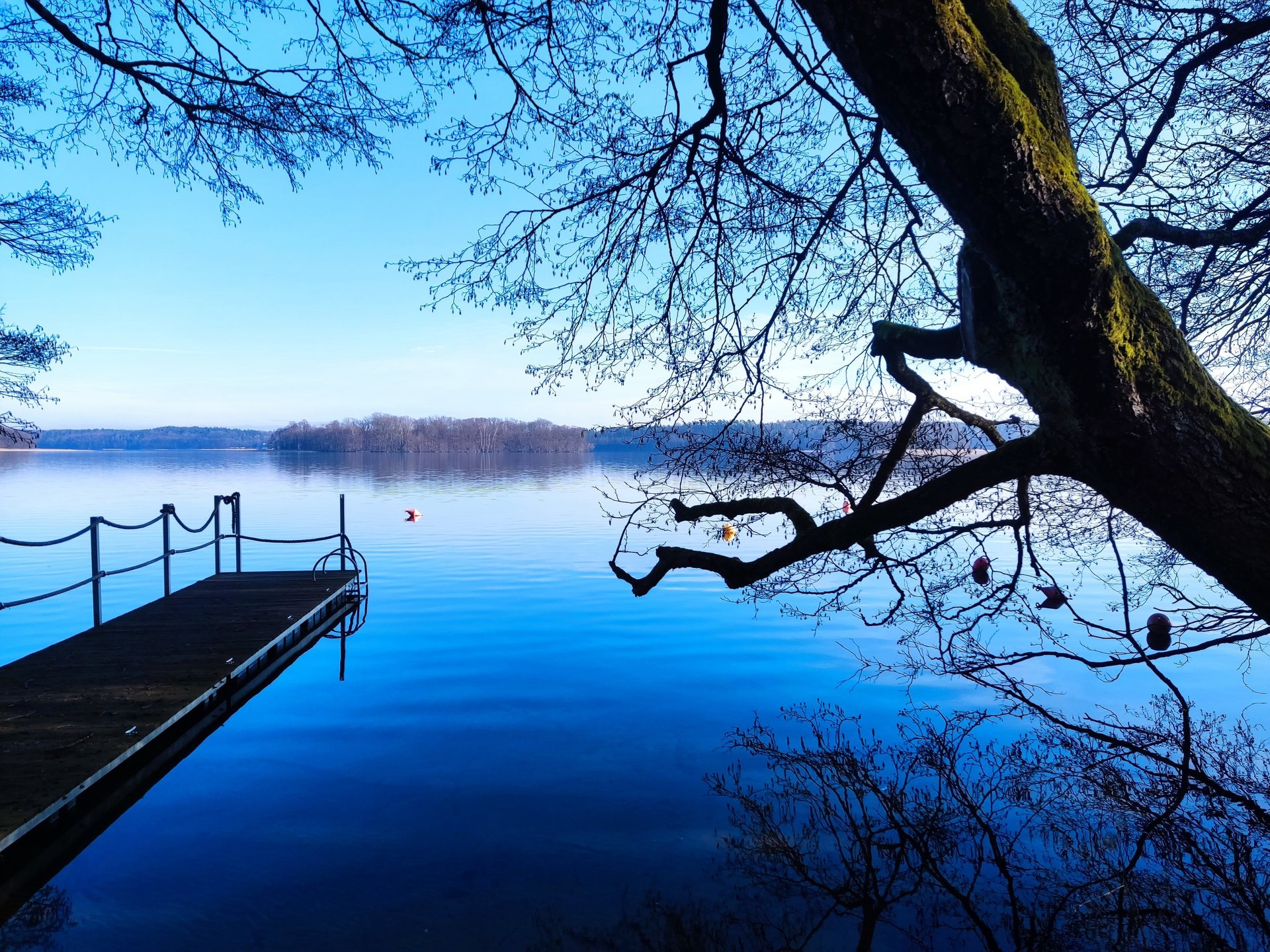 an abstract photo of a curved building with a blue sky in the background
