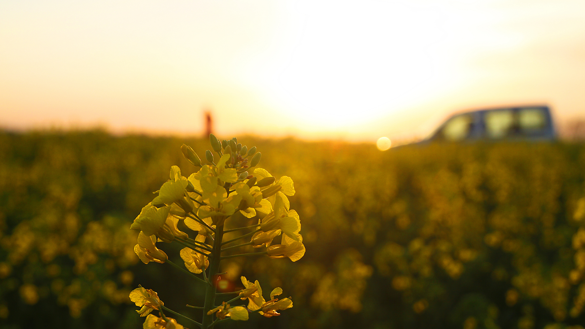 black blue and yellow textile