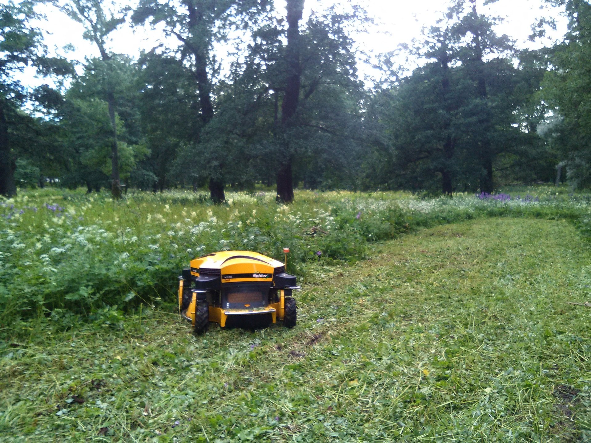 gray computer monitor