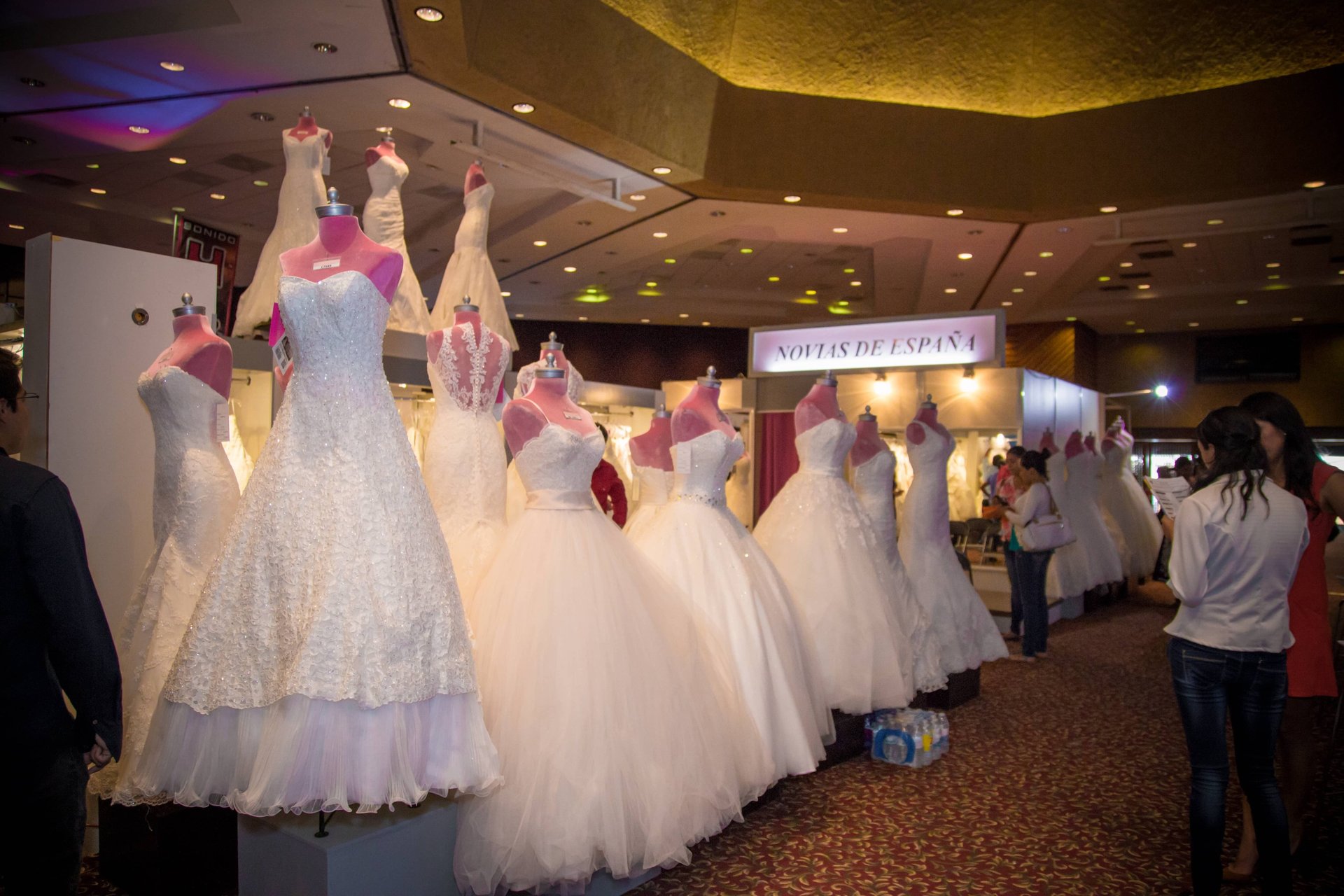 Expo celebración 2016